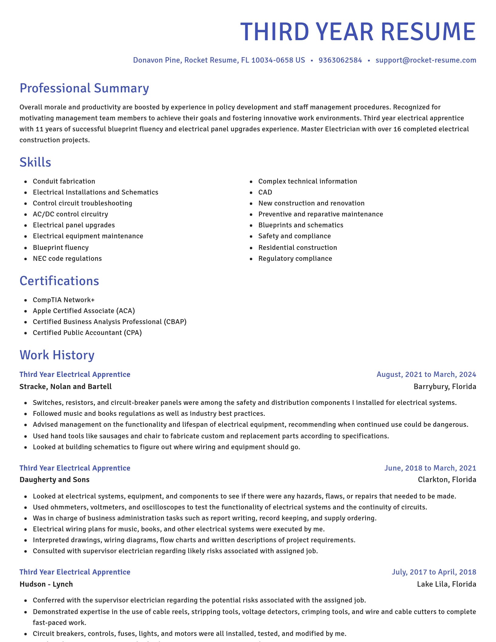 Novel resume template