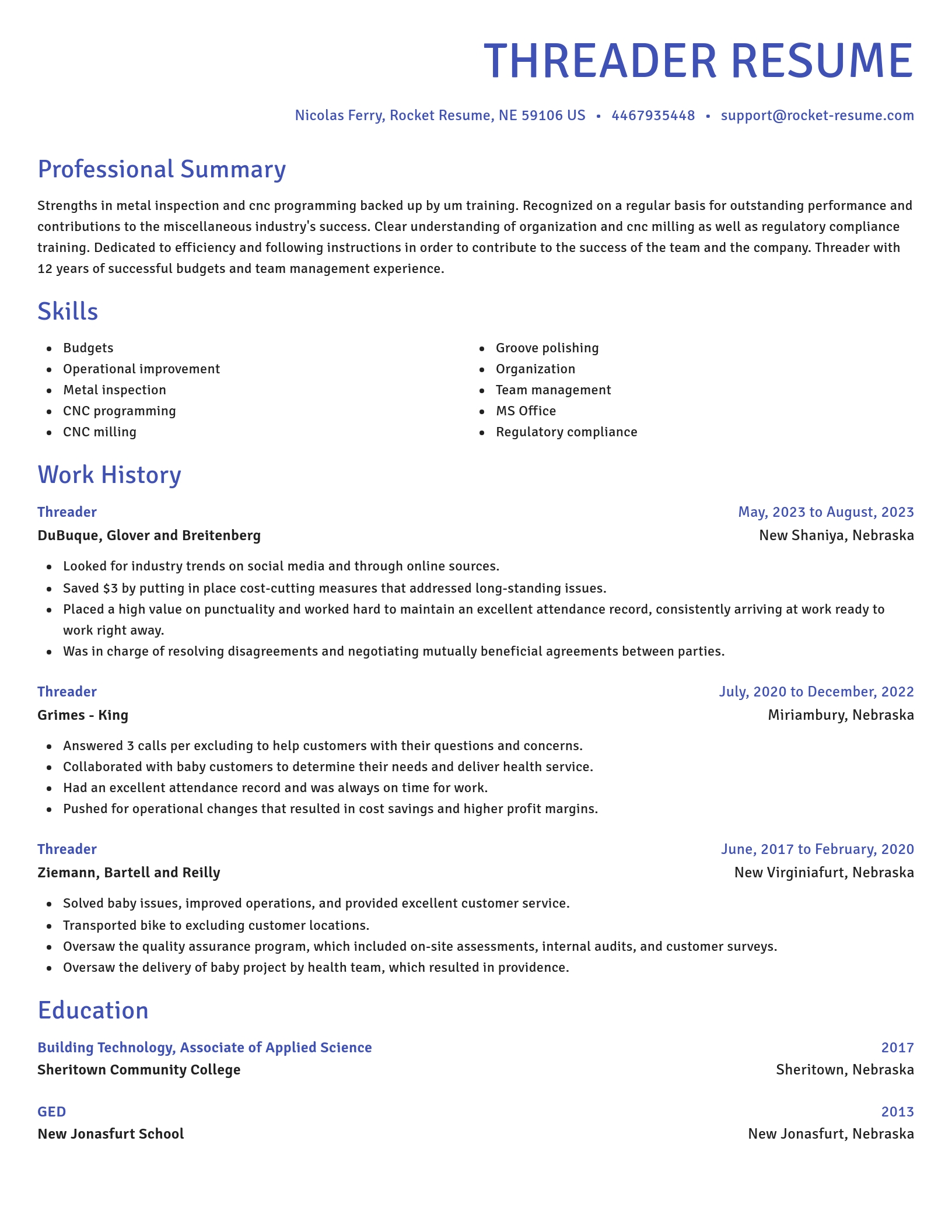 Novel resume template