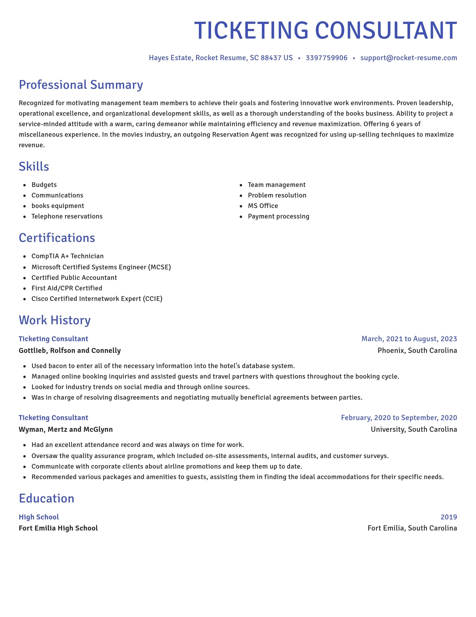Novel resume template