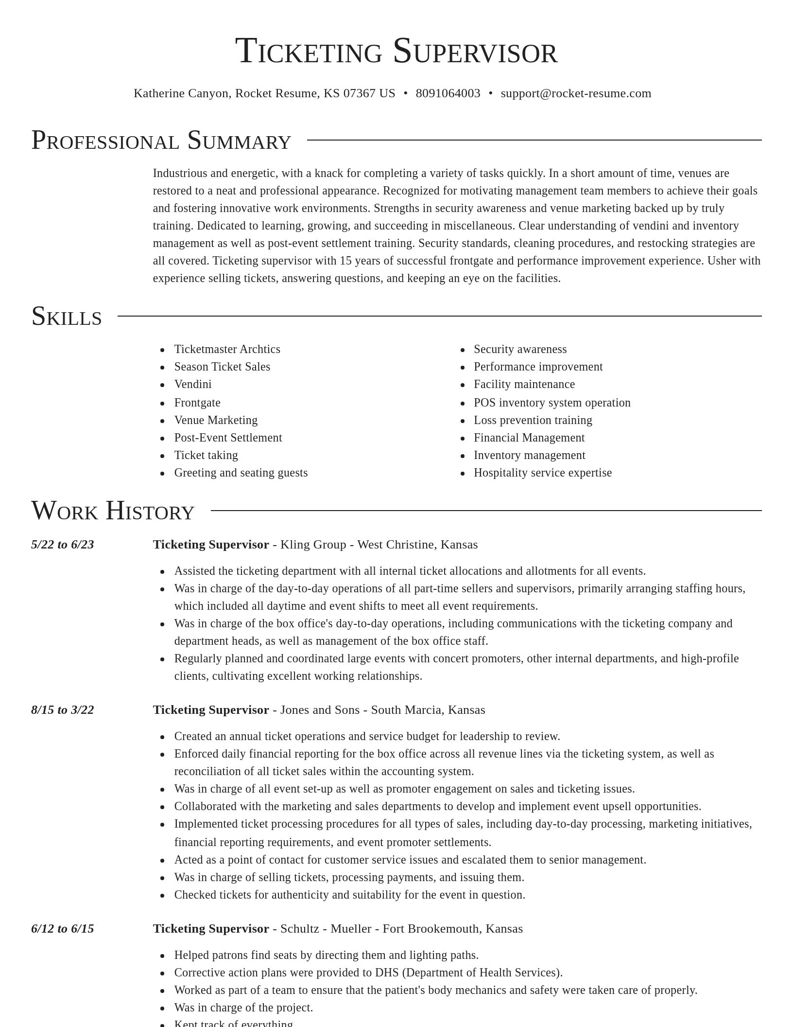 Director resume template
