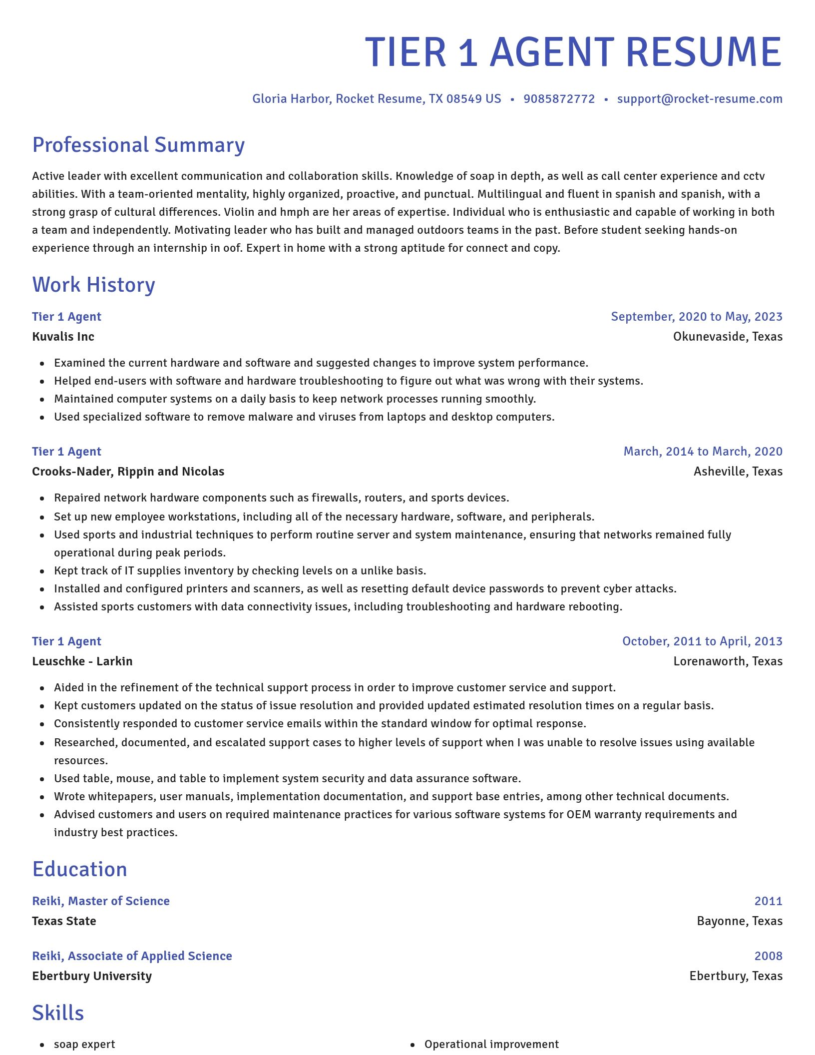 Novel resume template