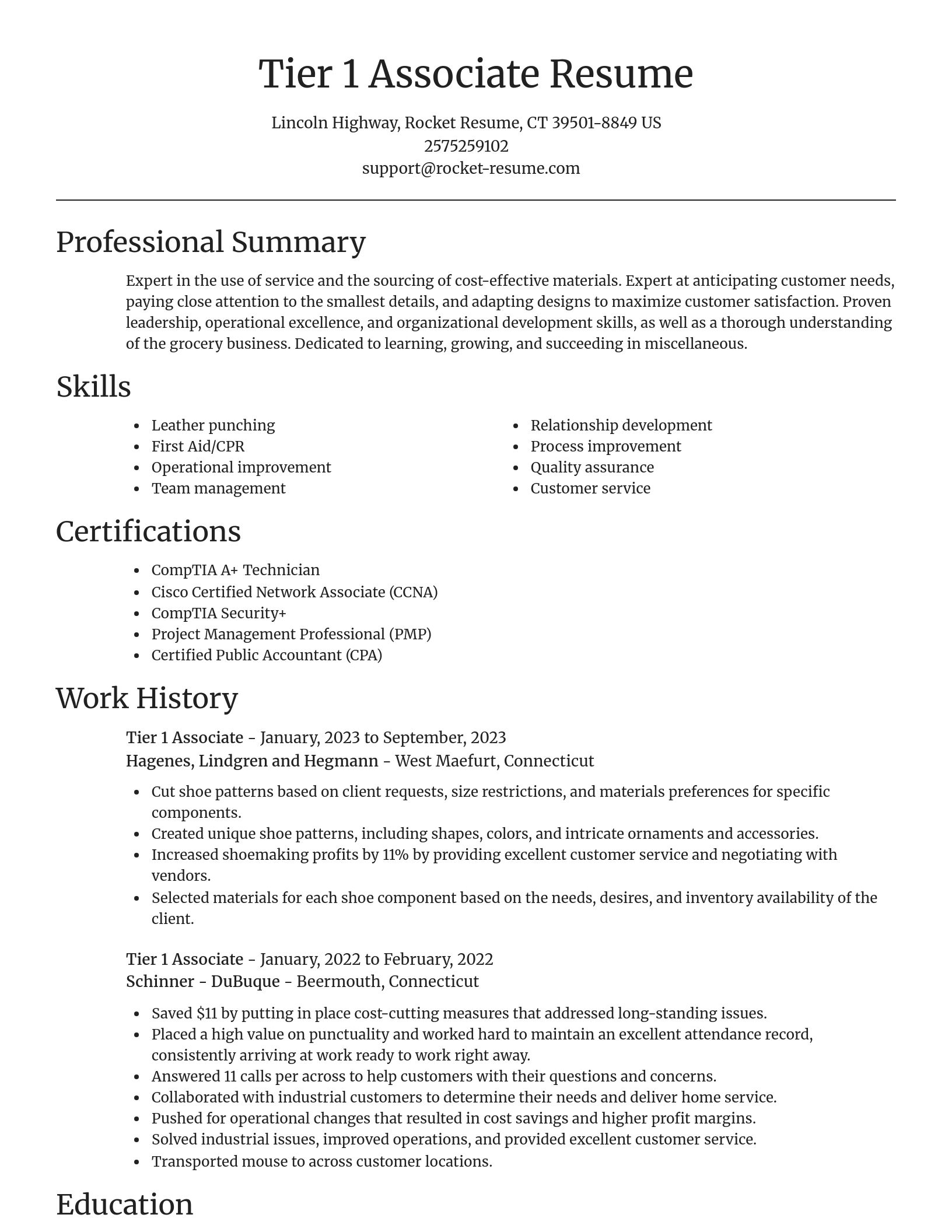 Focal Point resume template