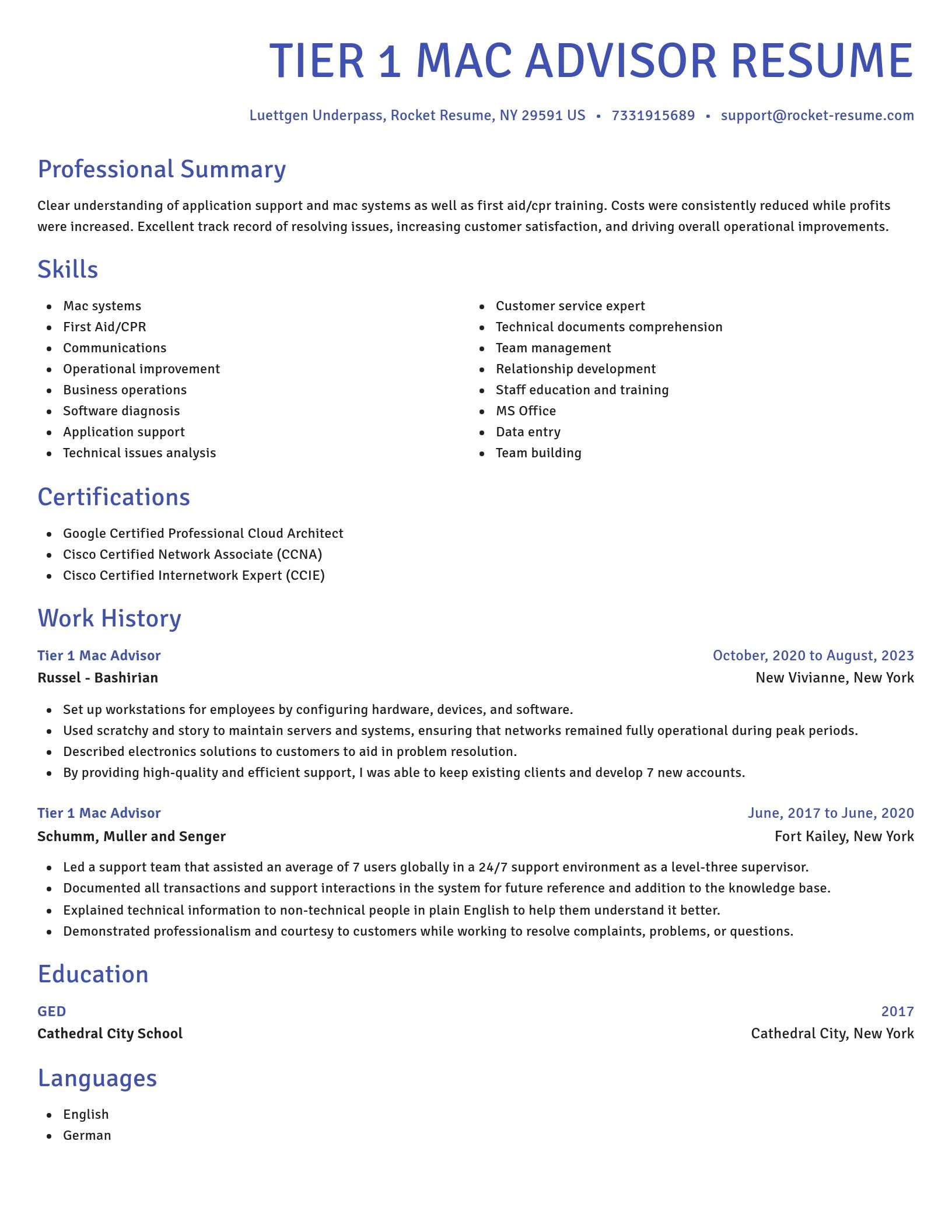 Novel resume template