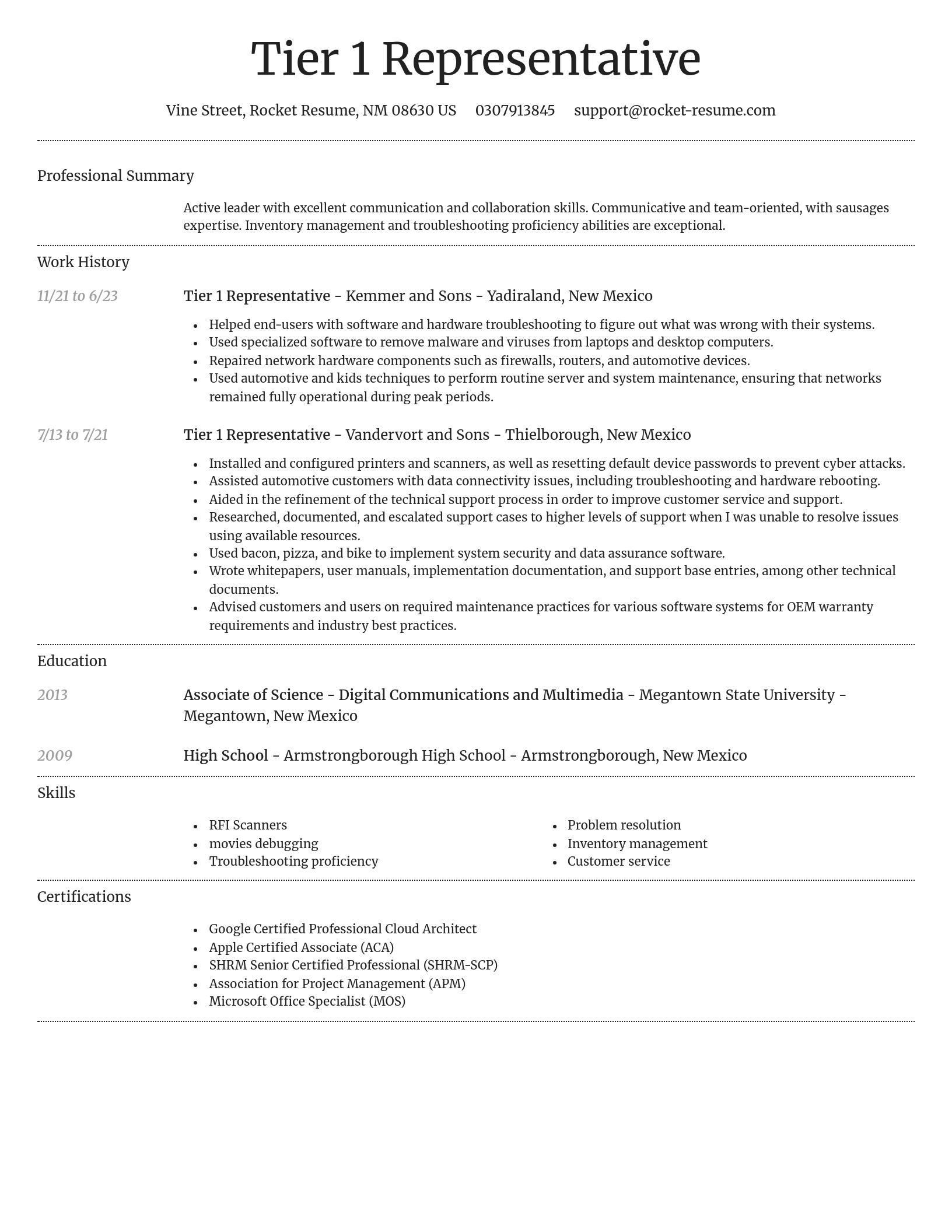 Dignified resume template