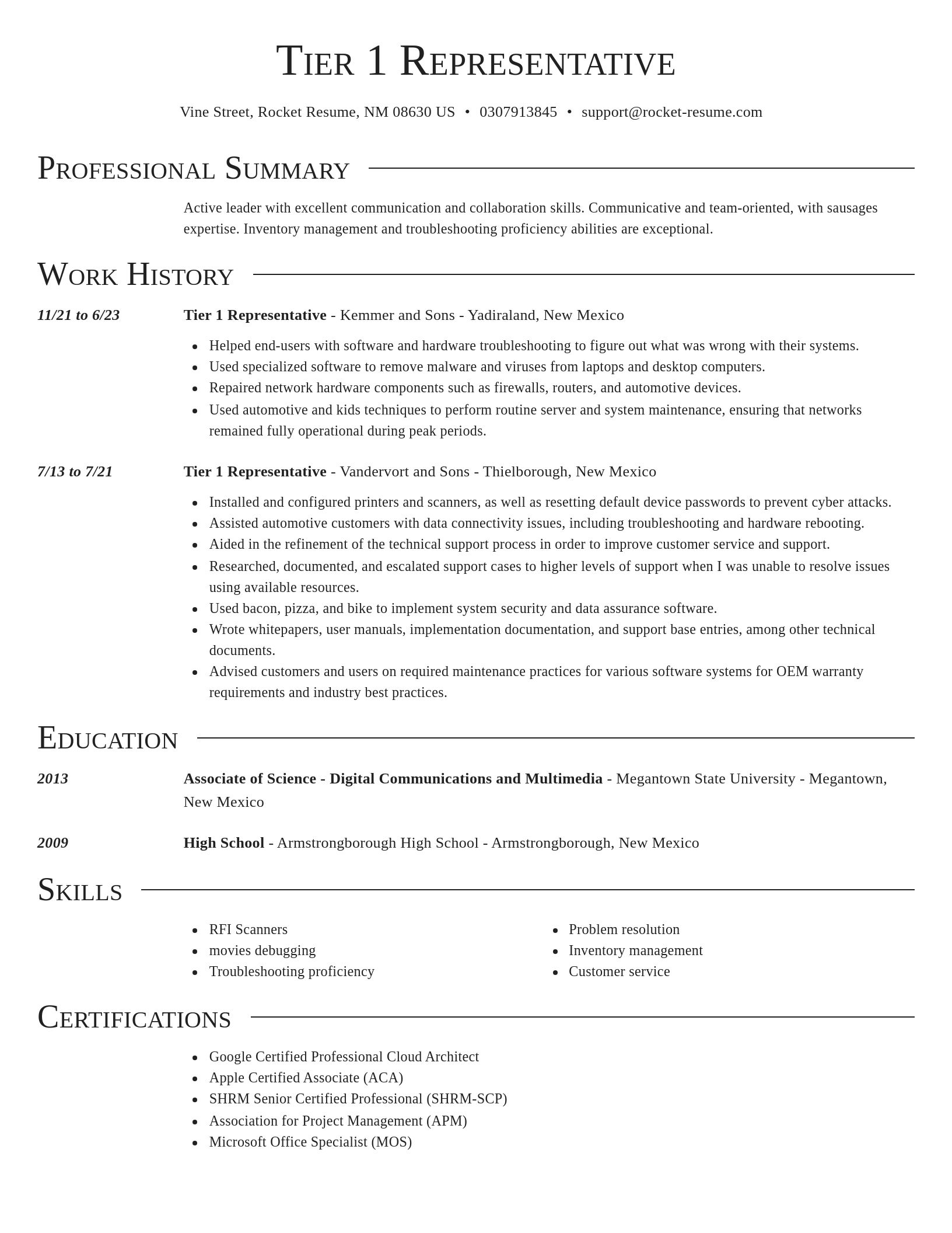 Director resume template