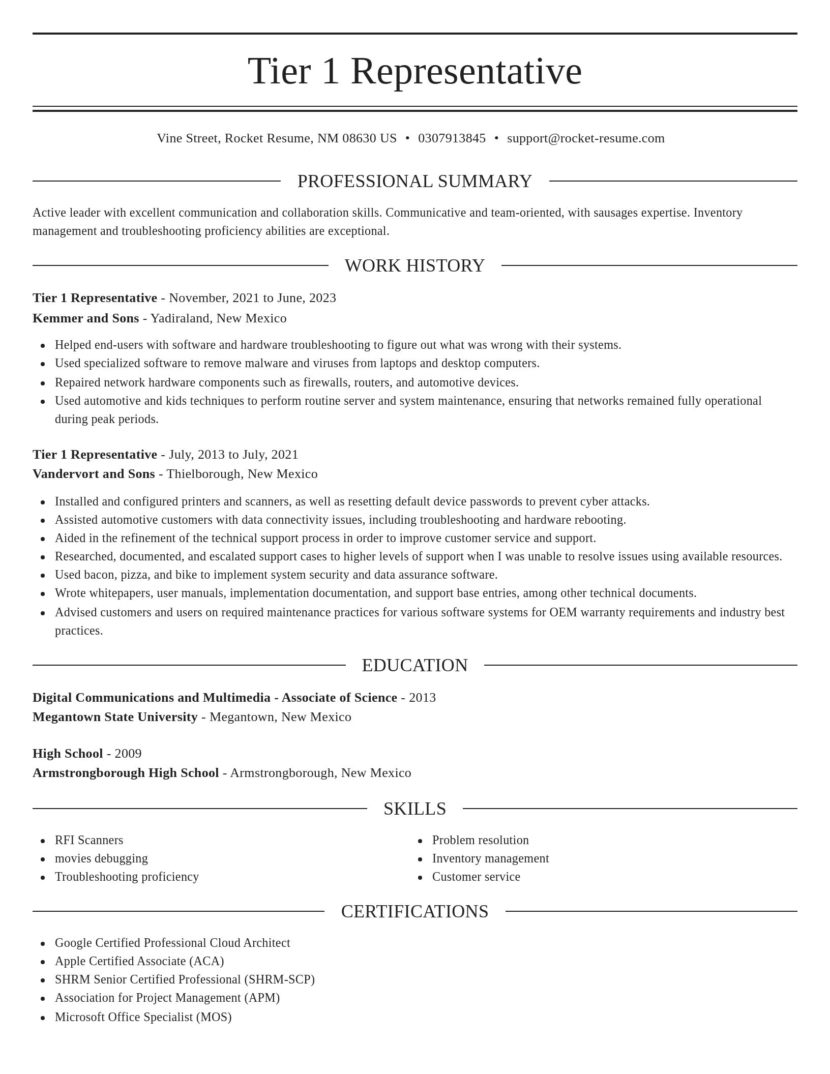 Elegant resume template