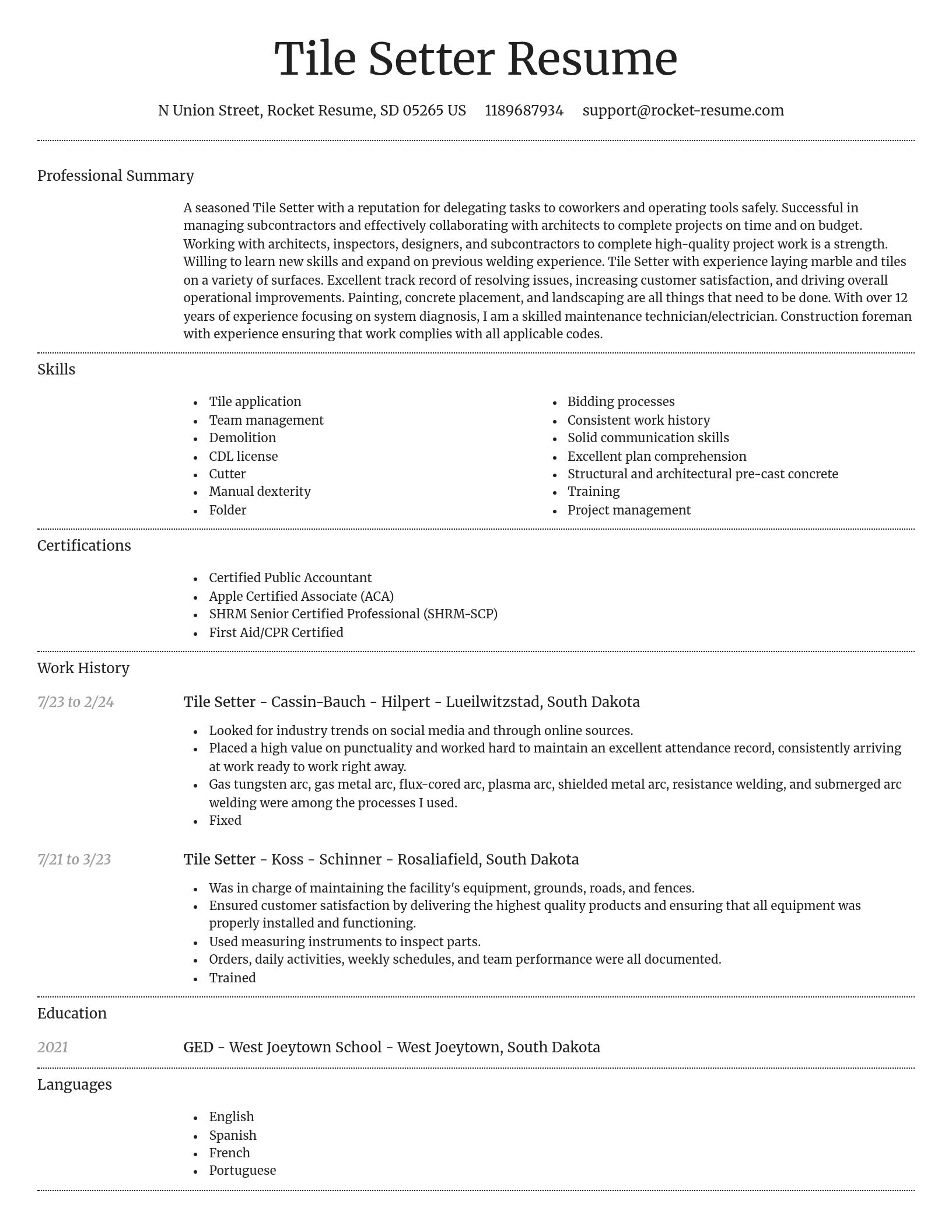 Dignified resume template