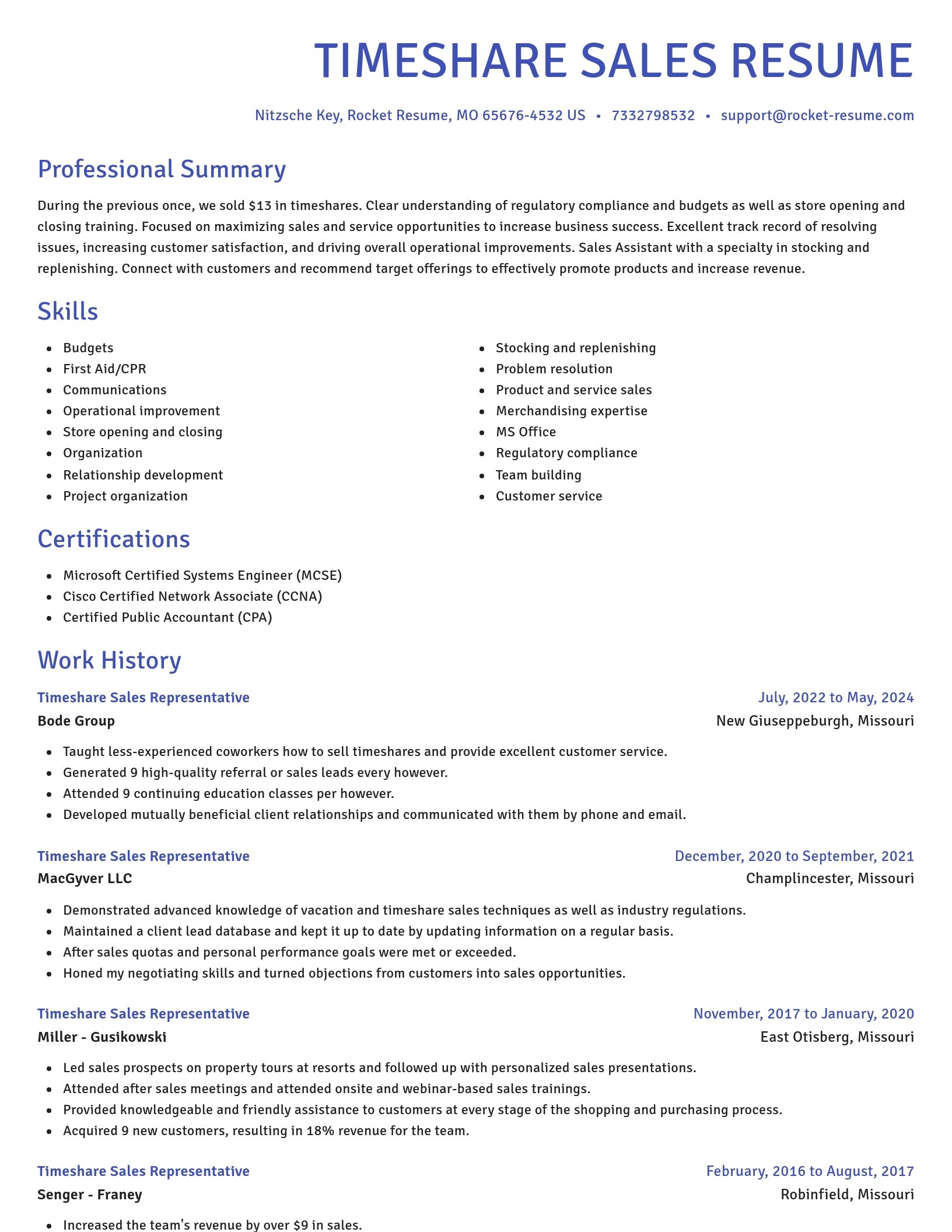 Novel resume template
