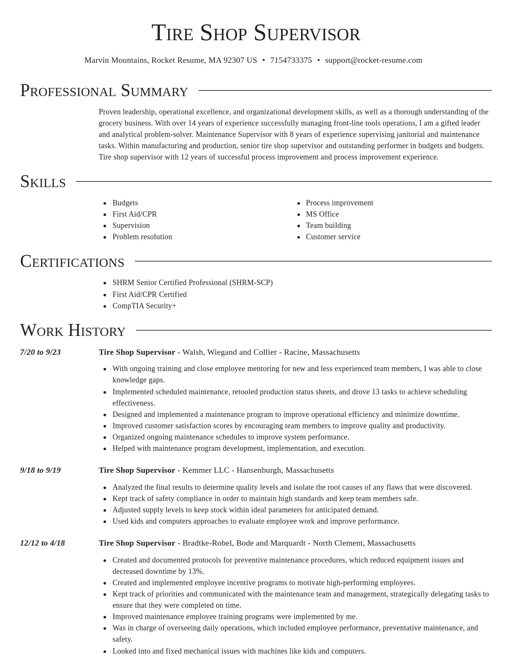 Director resume template