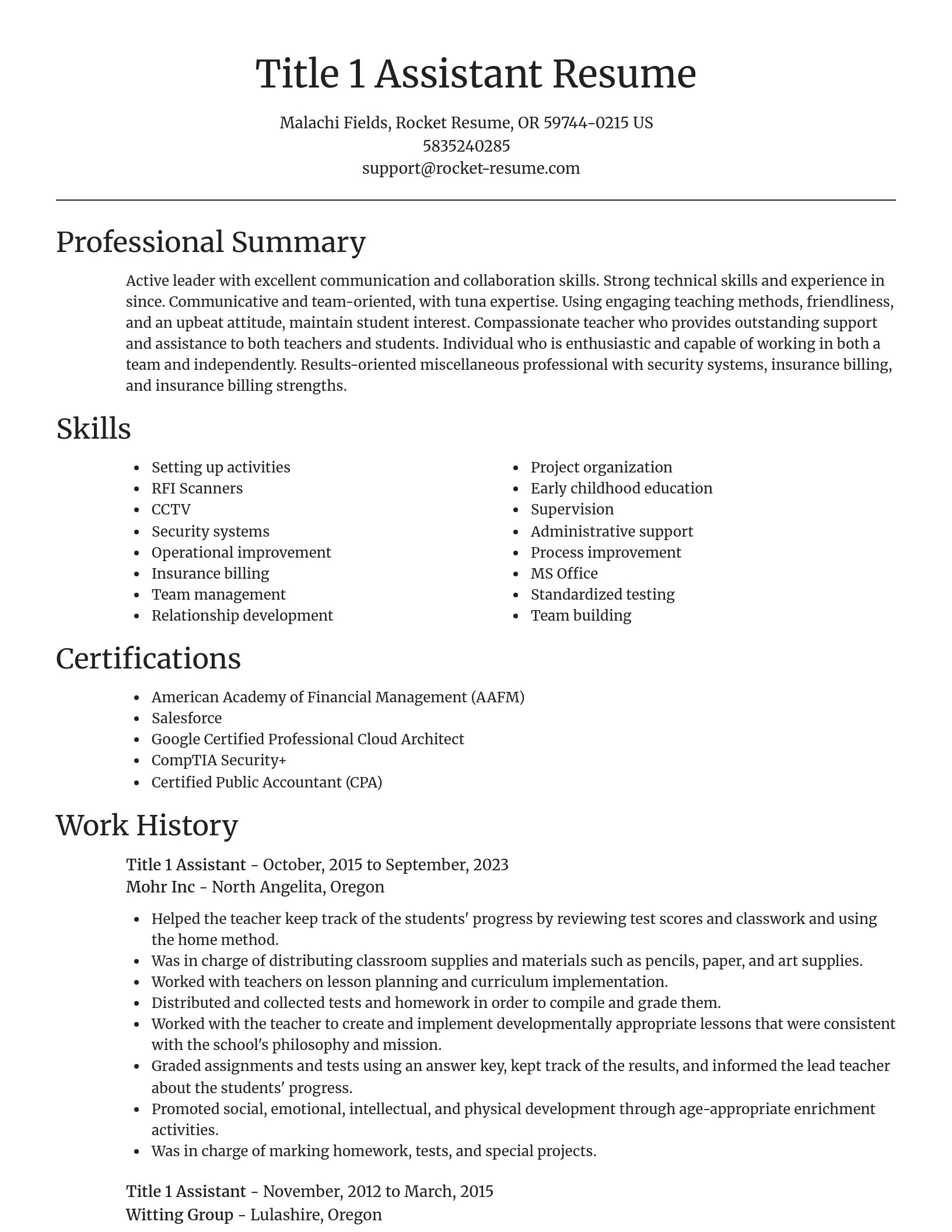 Focal Point resume template