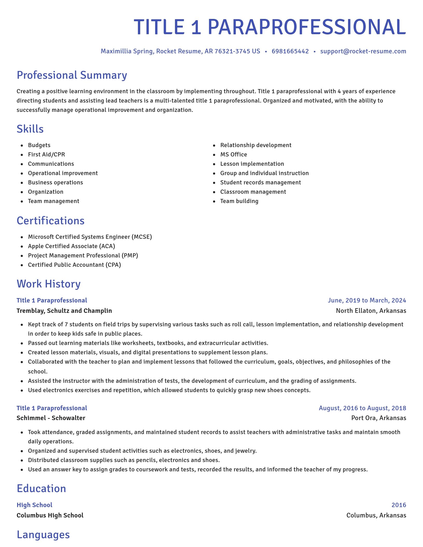 Novel resume template