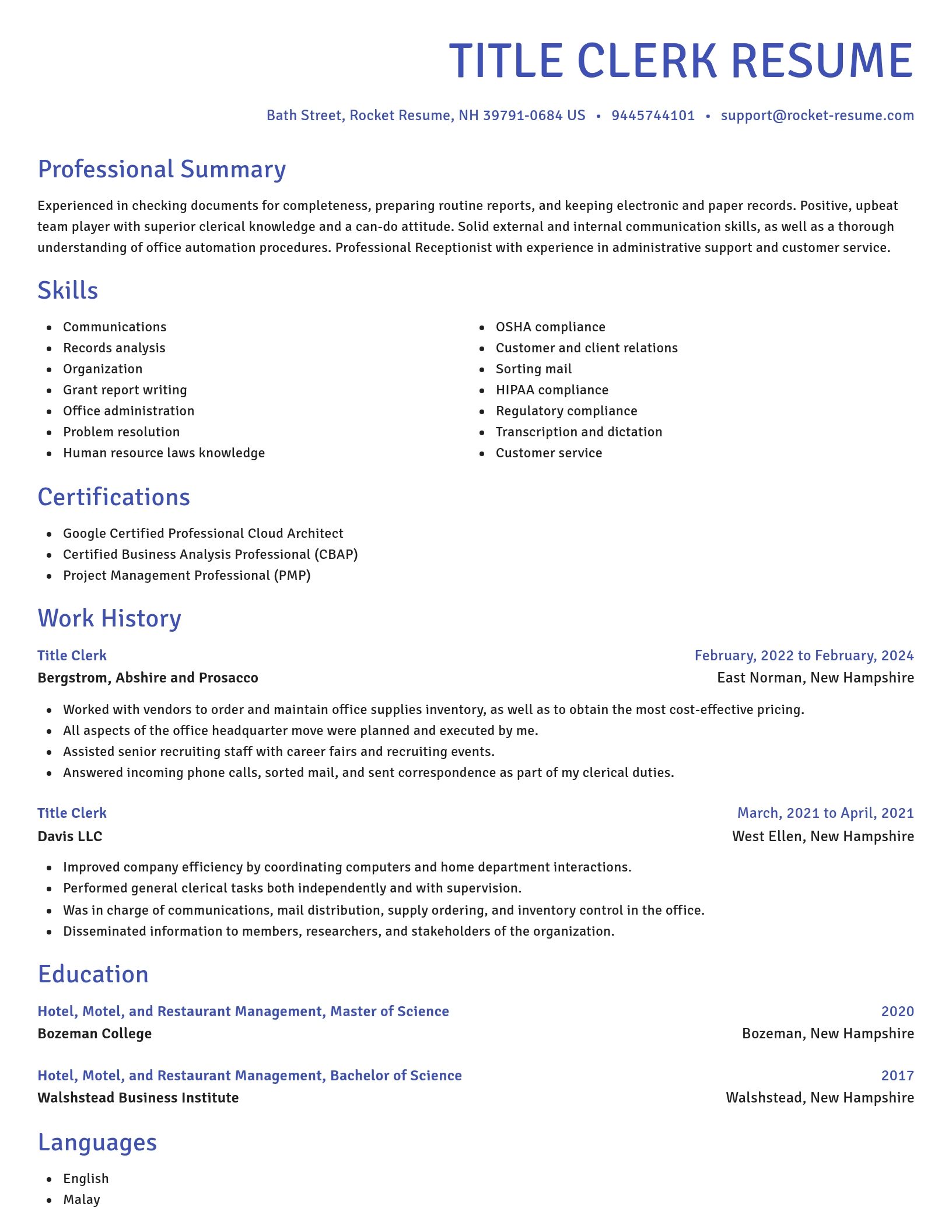 Novel resume template