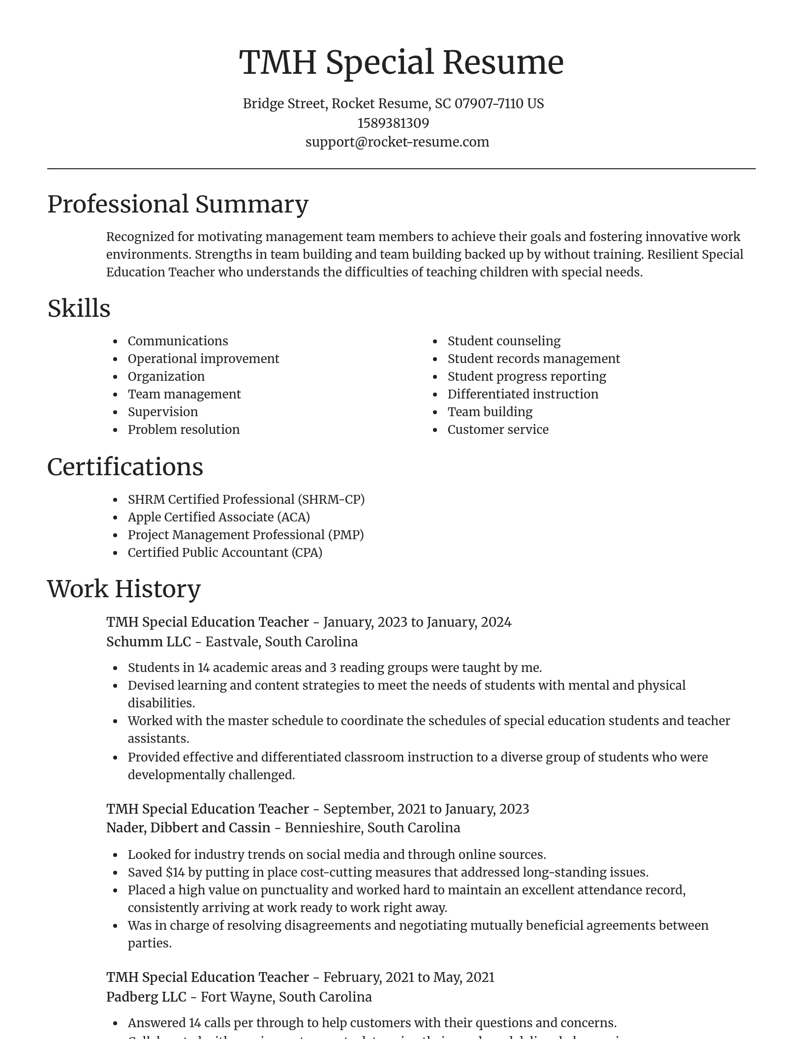 Focal Point resume template