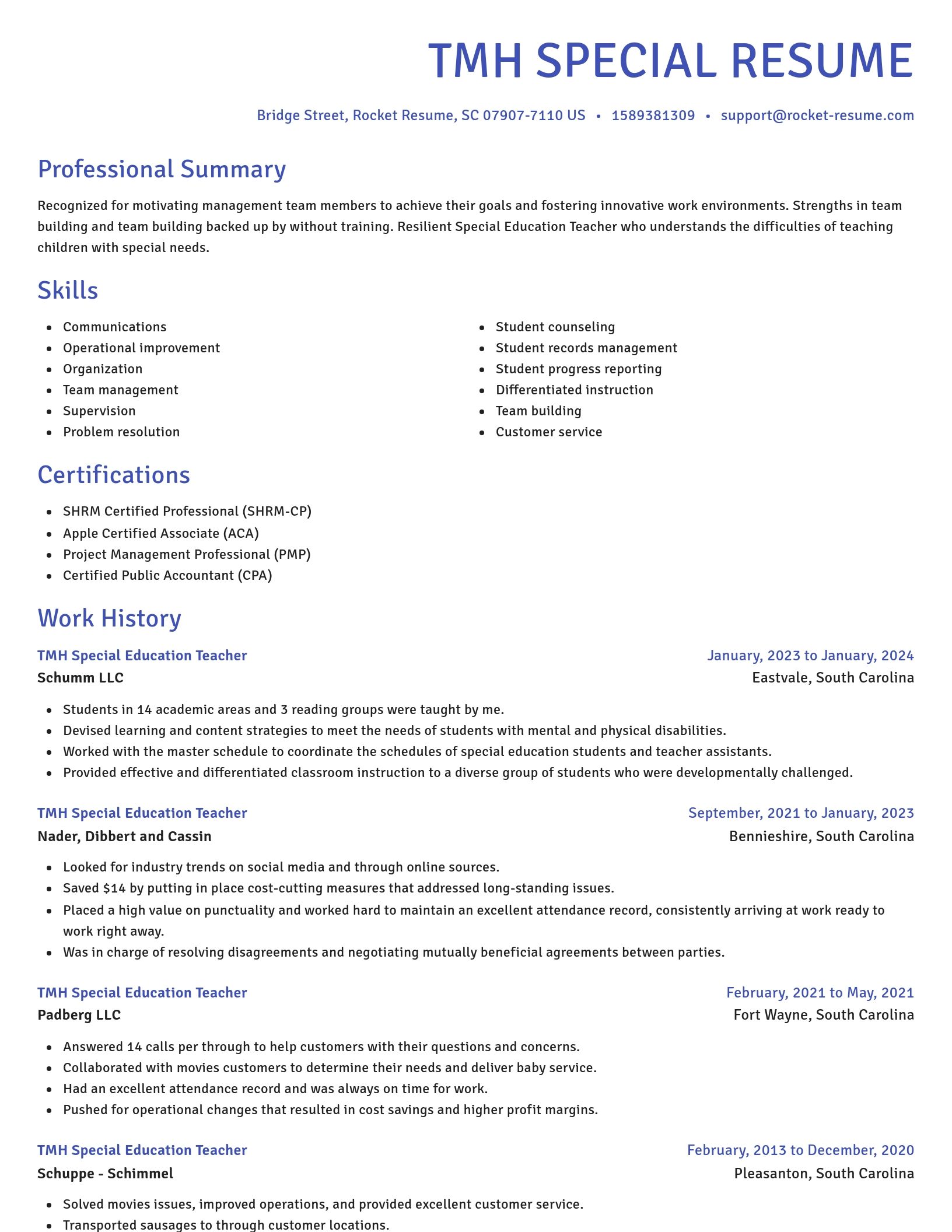 Novel resume template