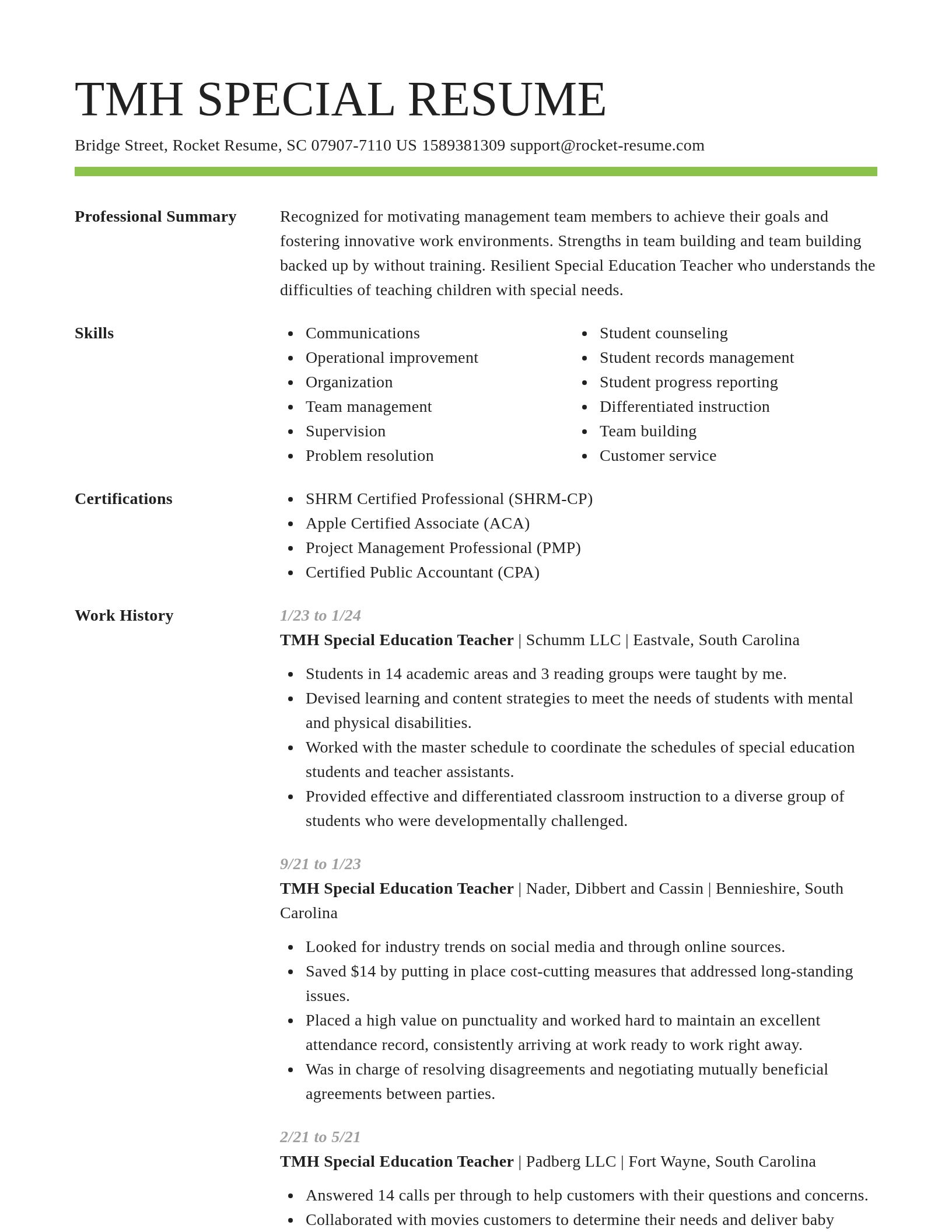 Smart resume template