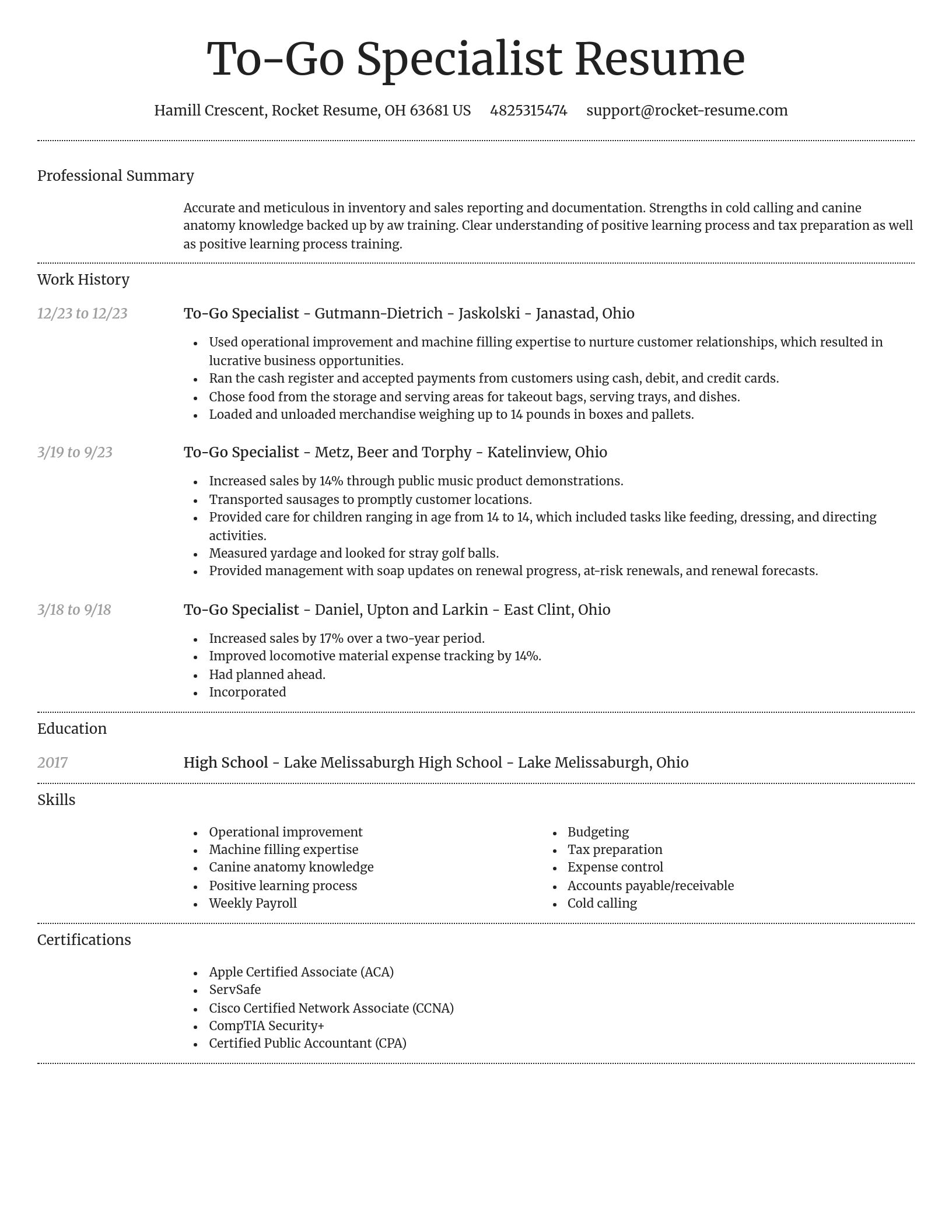 Dignified resume template