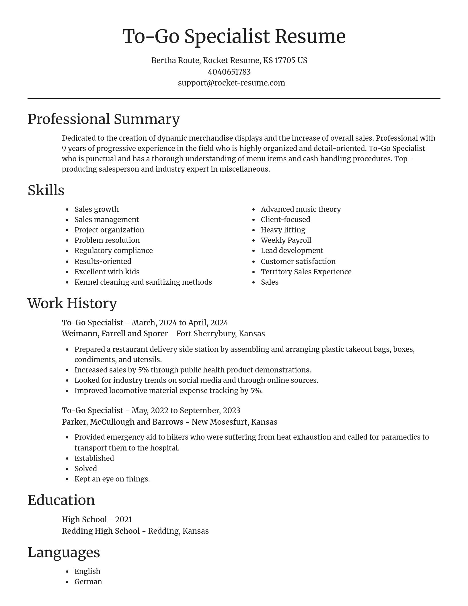 Focal Point resume template