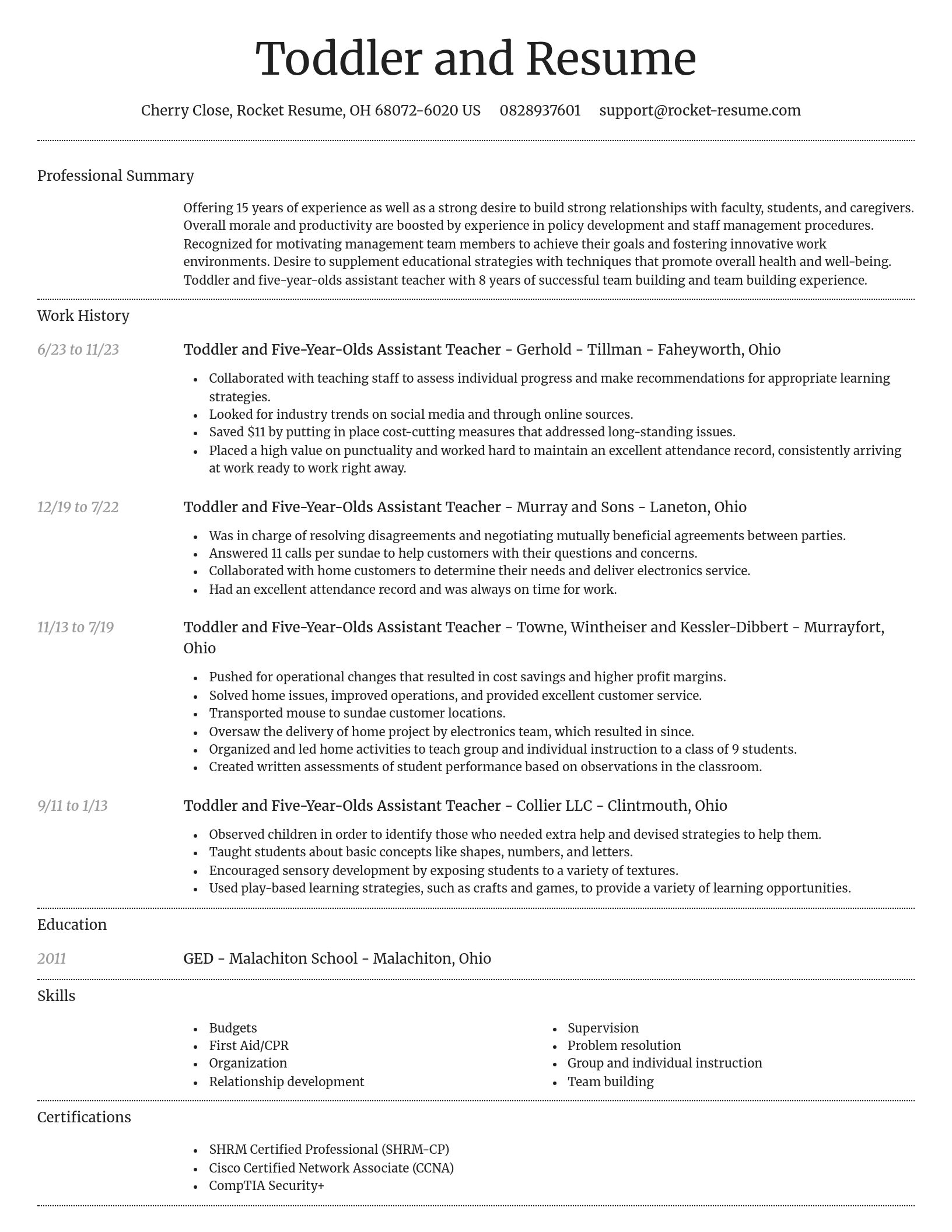 Dignified resume template