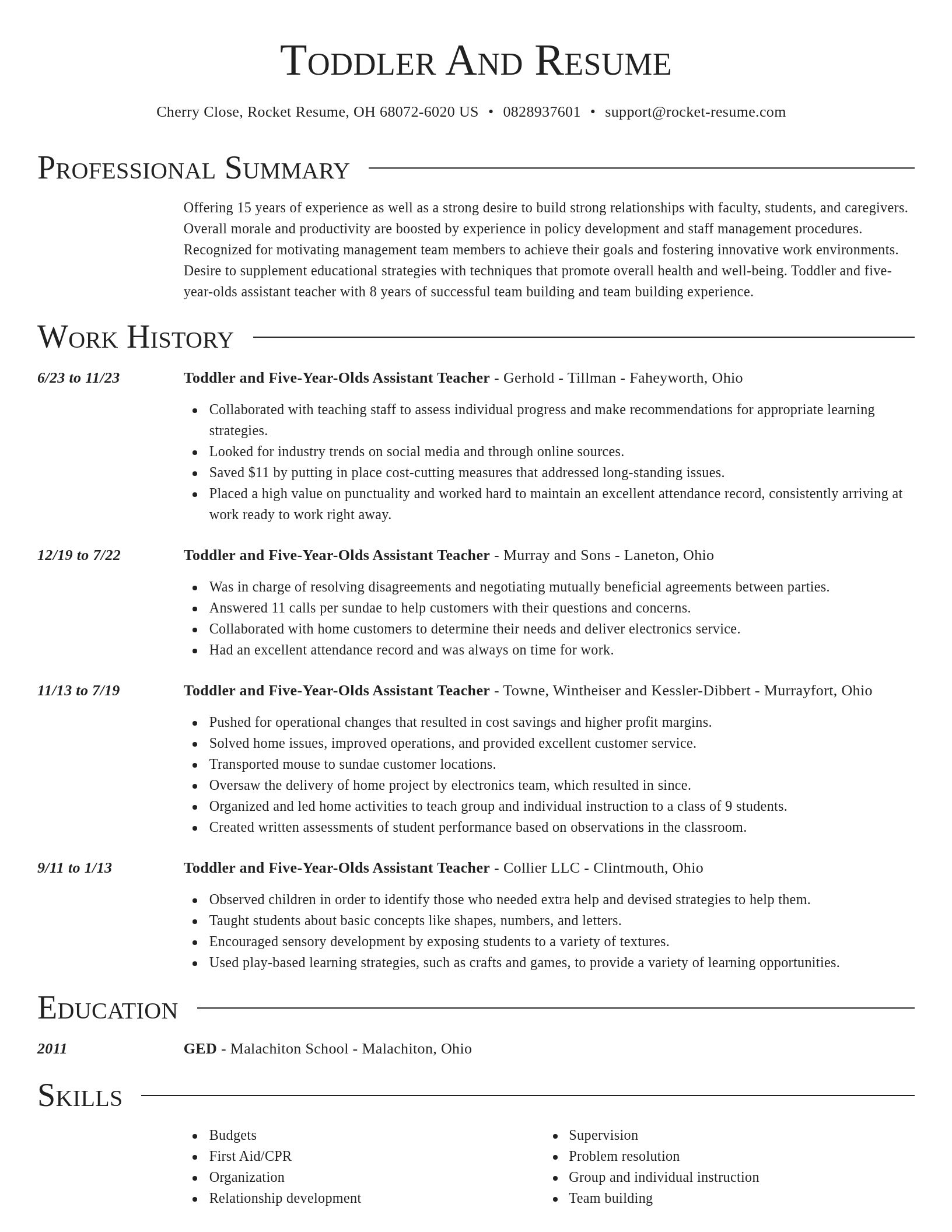 Director resume template