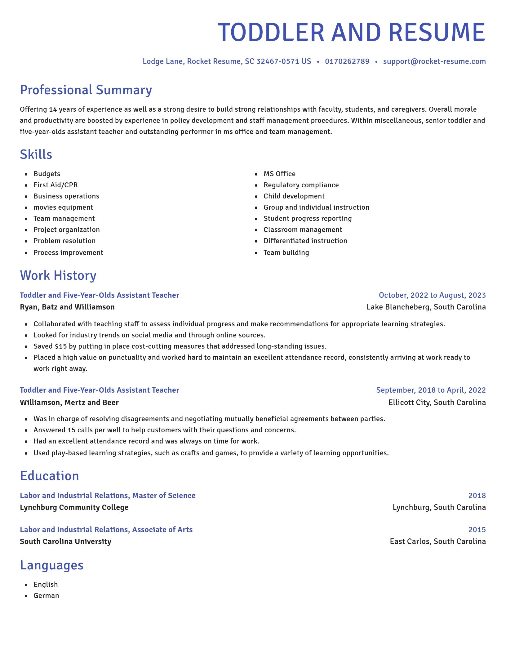 Novel resume template