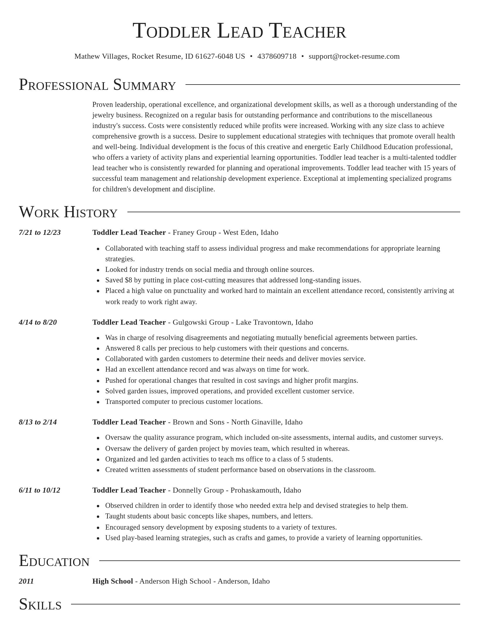 Director resume template