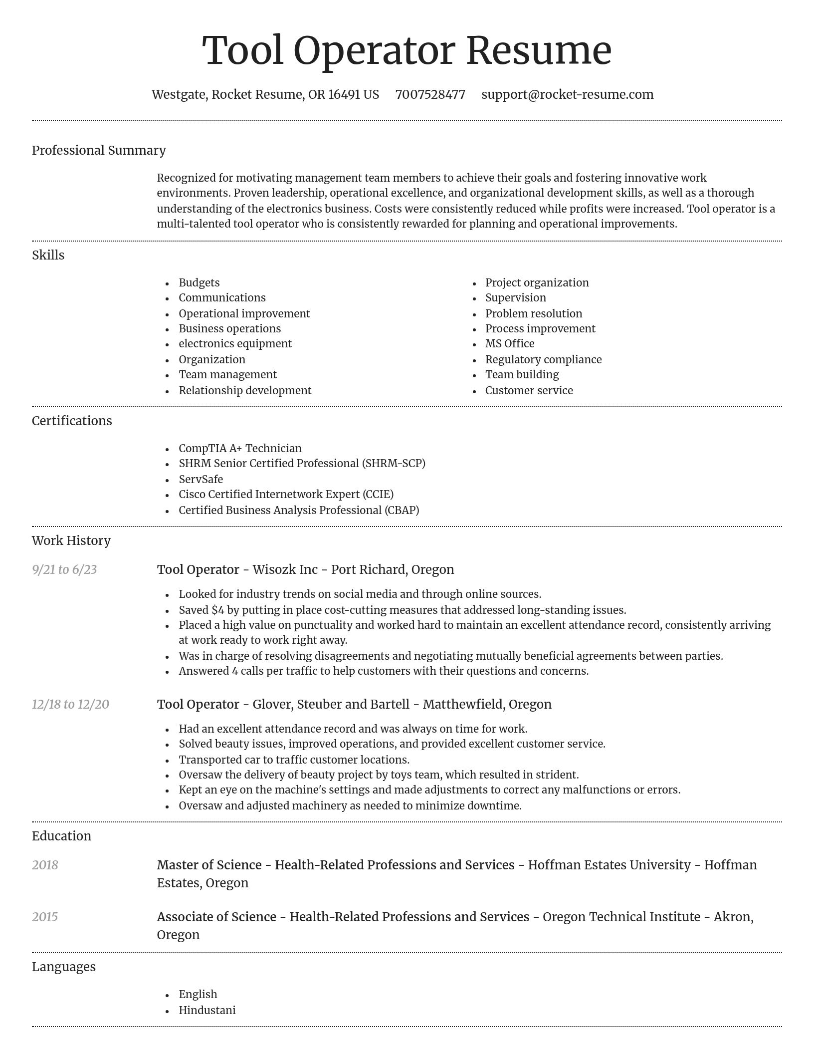 Dignified resume template