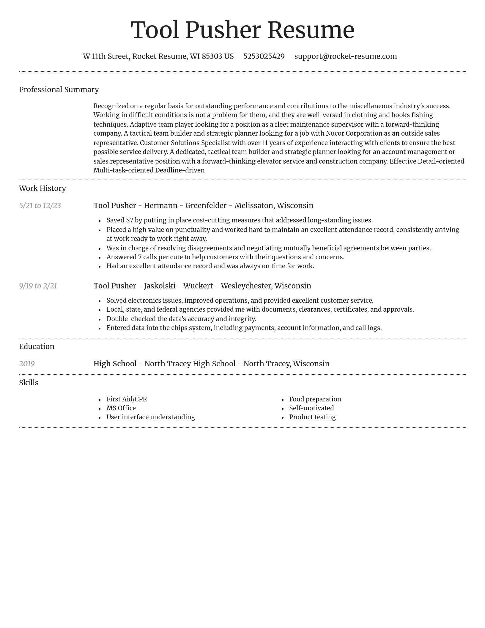 Dignified resume template
