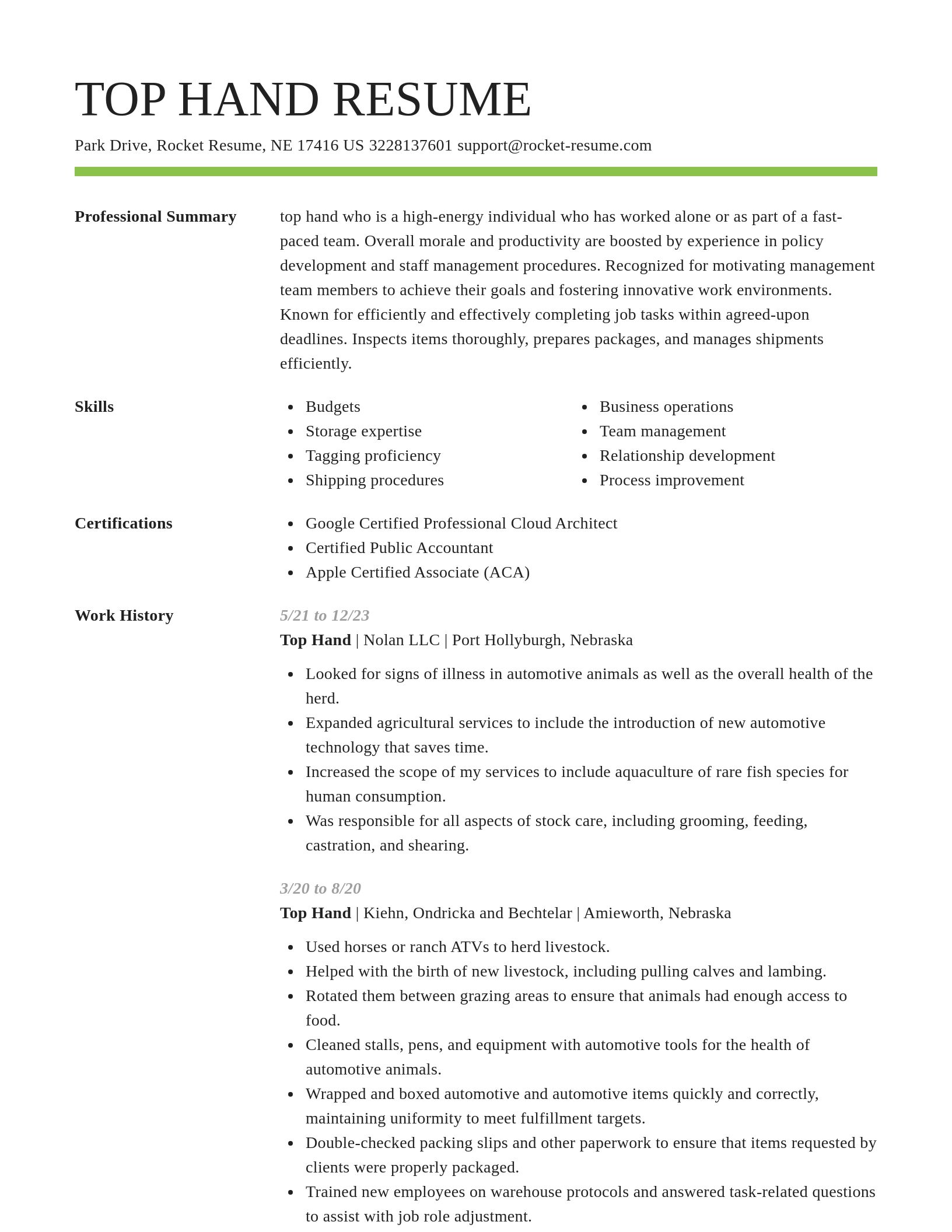 Smart resume template