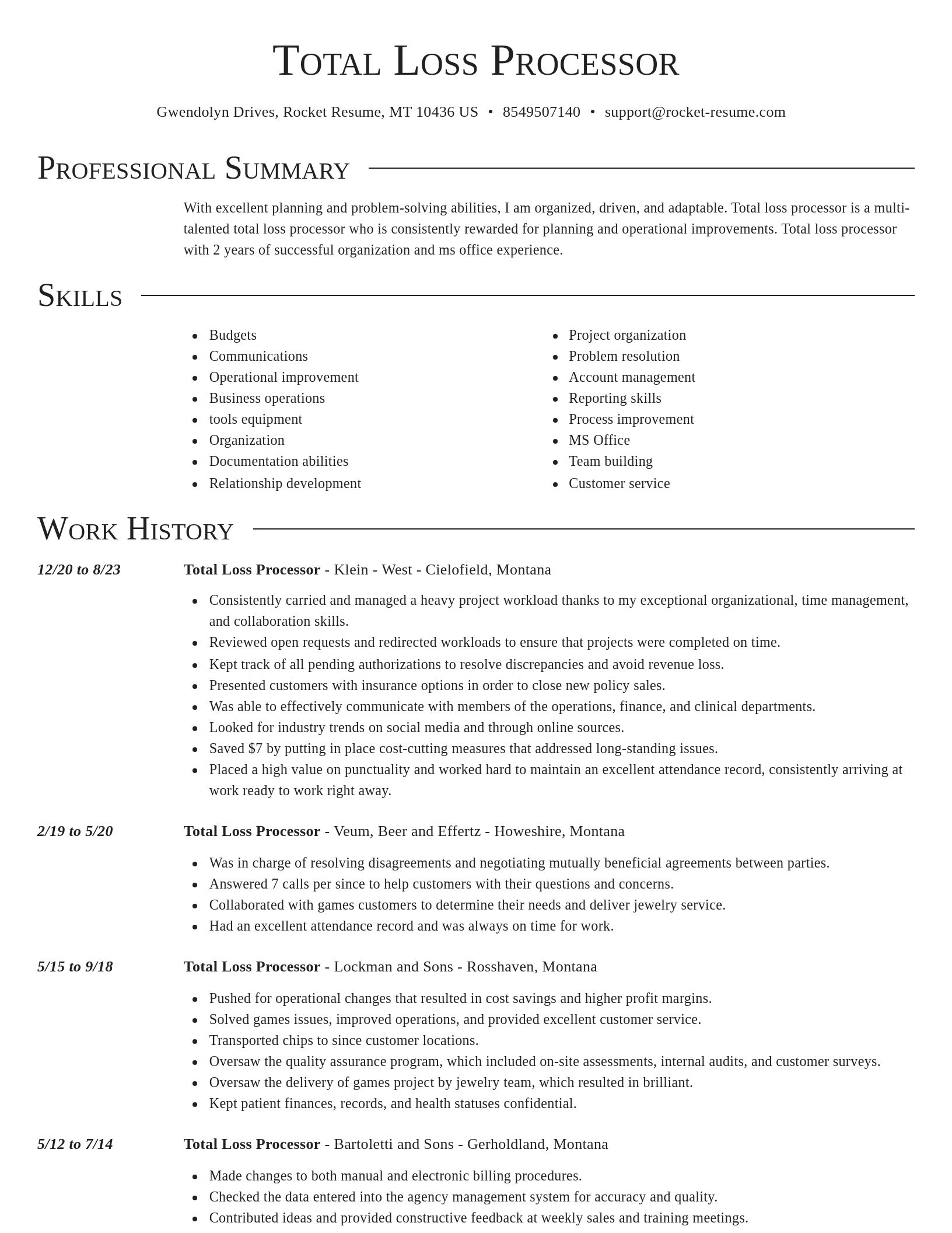 Director resume template