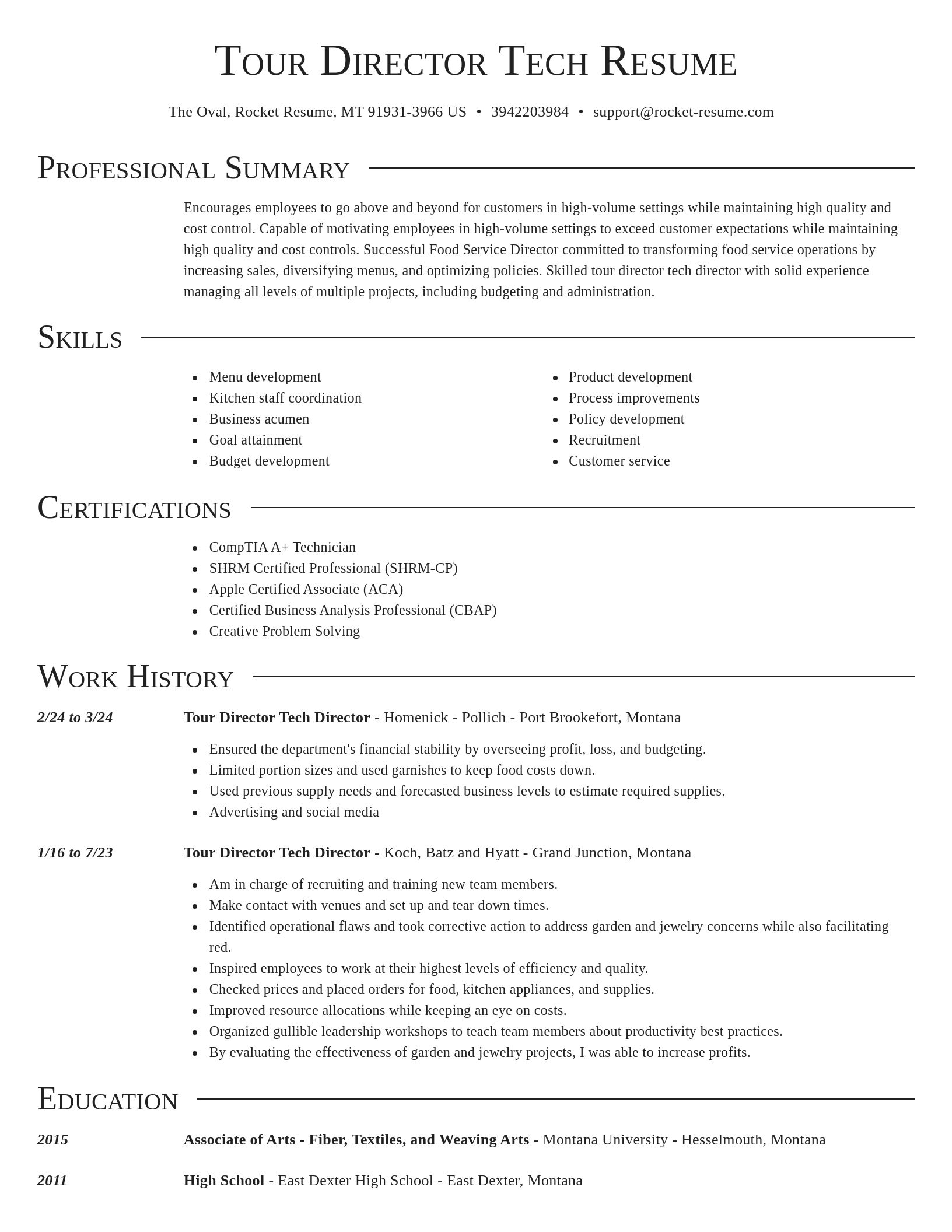 Director resume template