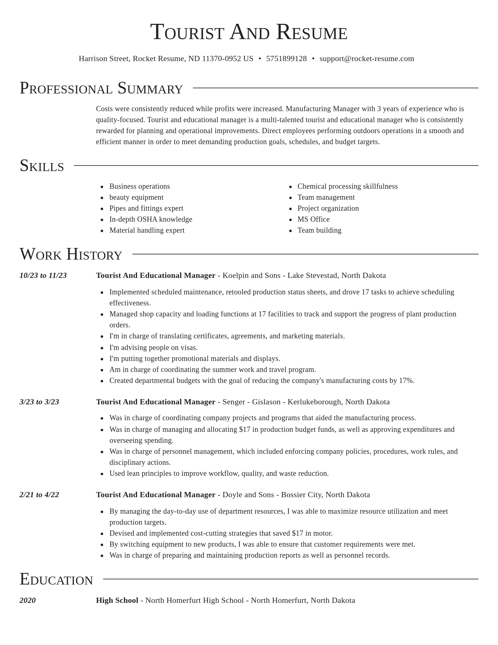 Director resume template