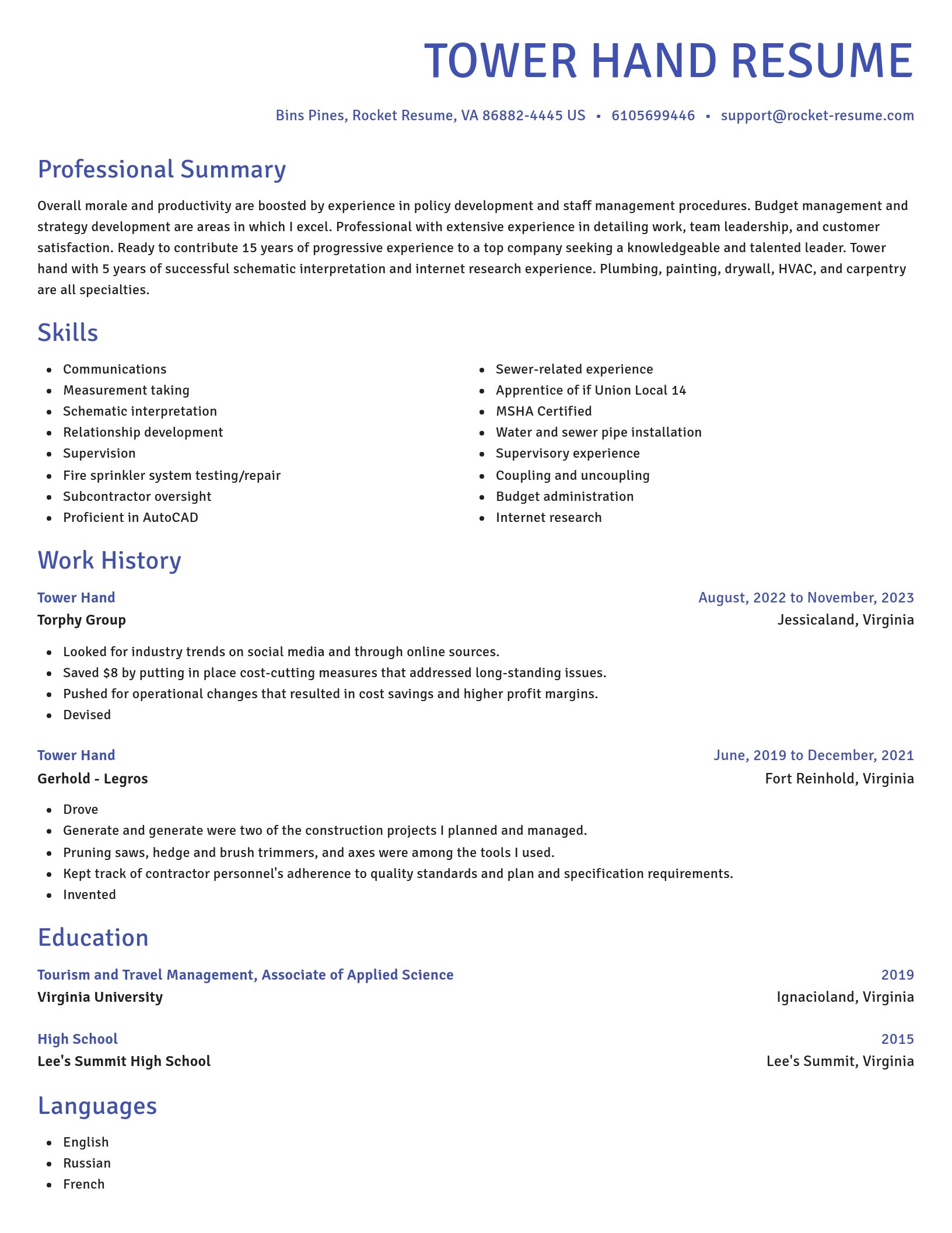 Novel resume template