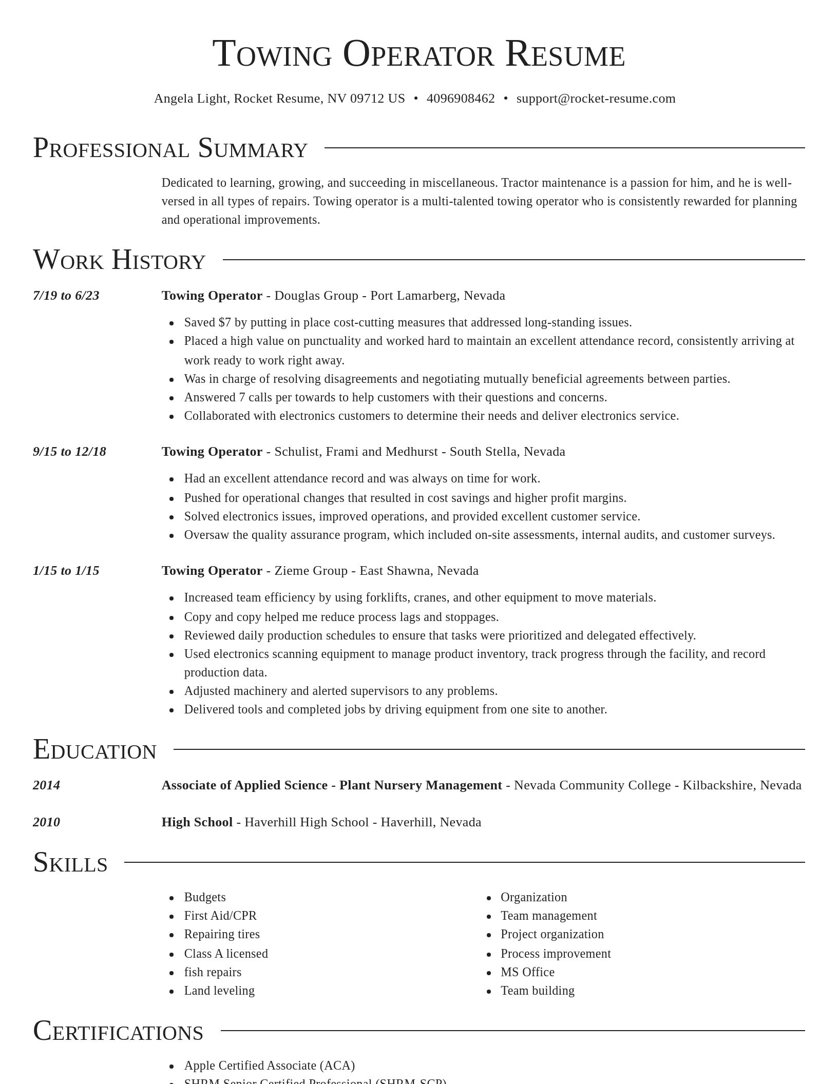 Director resume template