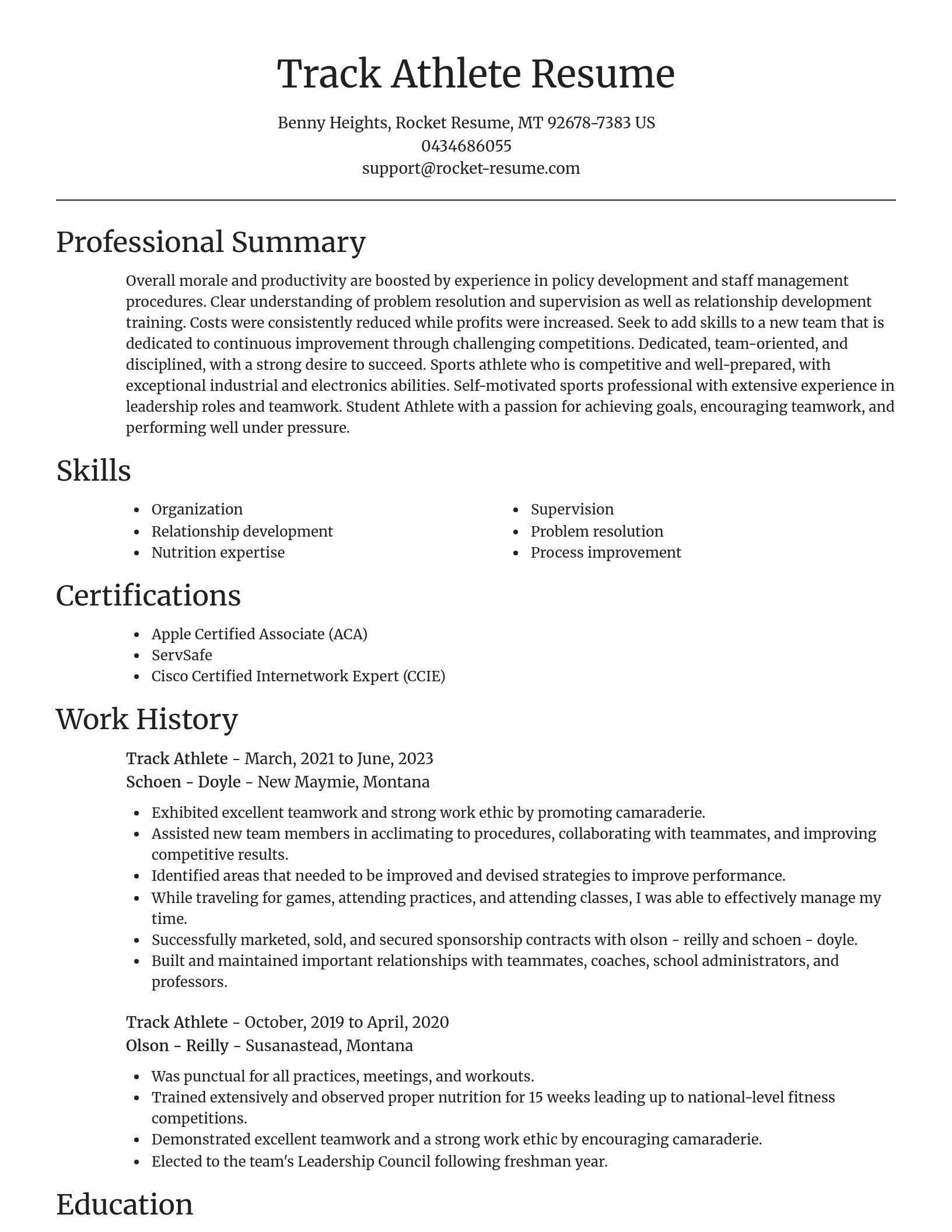Focal Point resume template