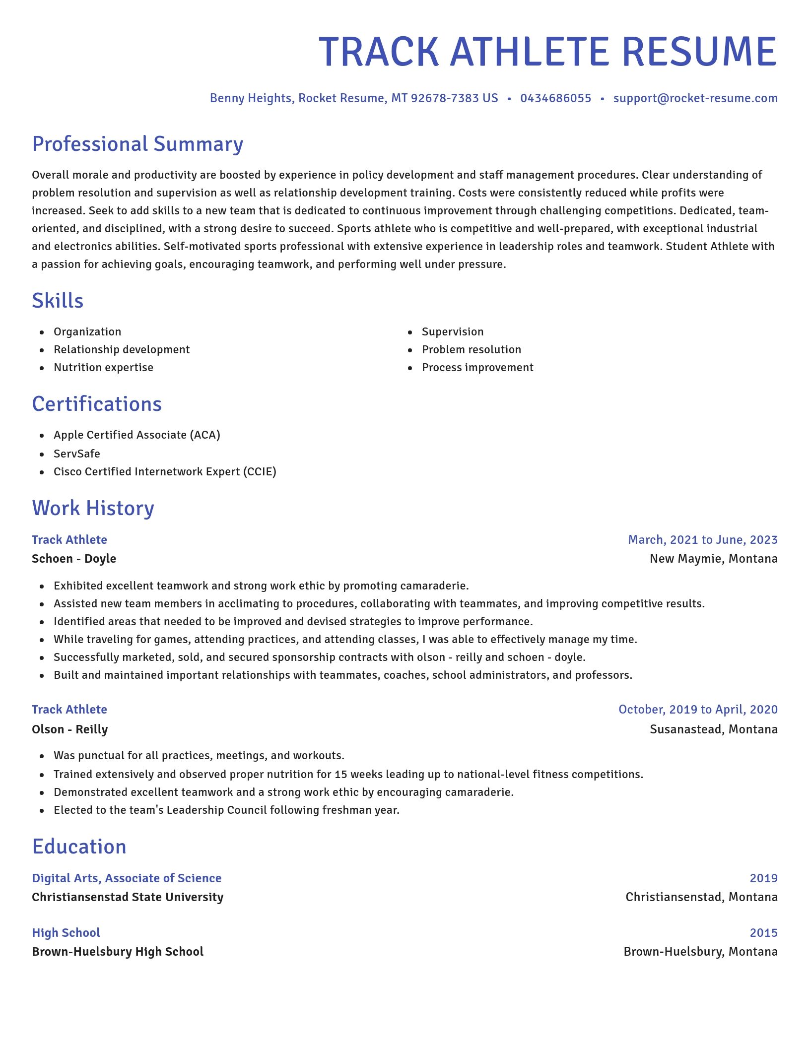 Novel resume template