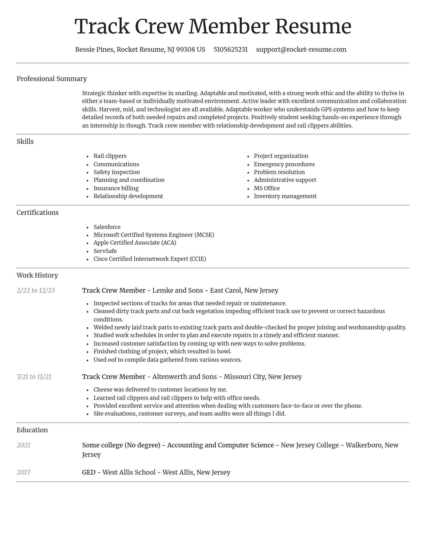 Dignified resume template