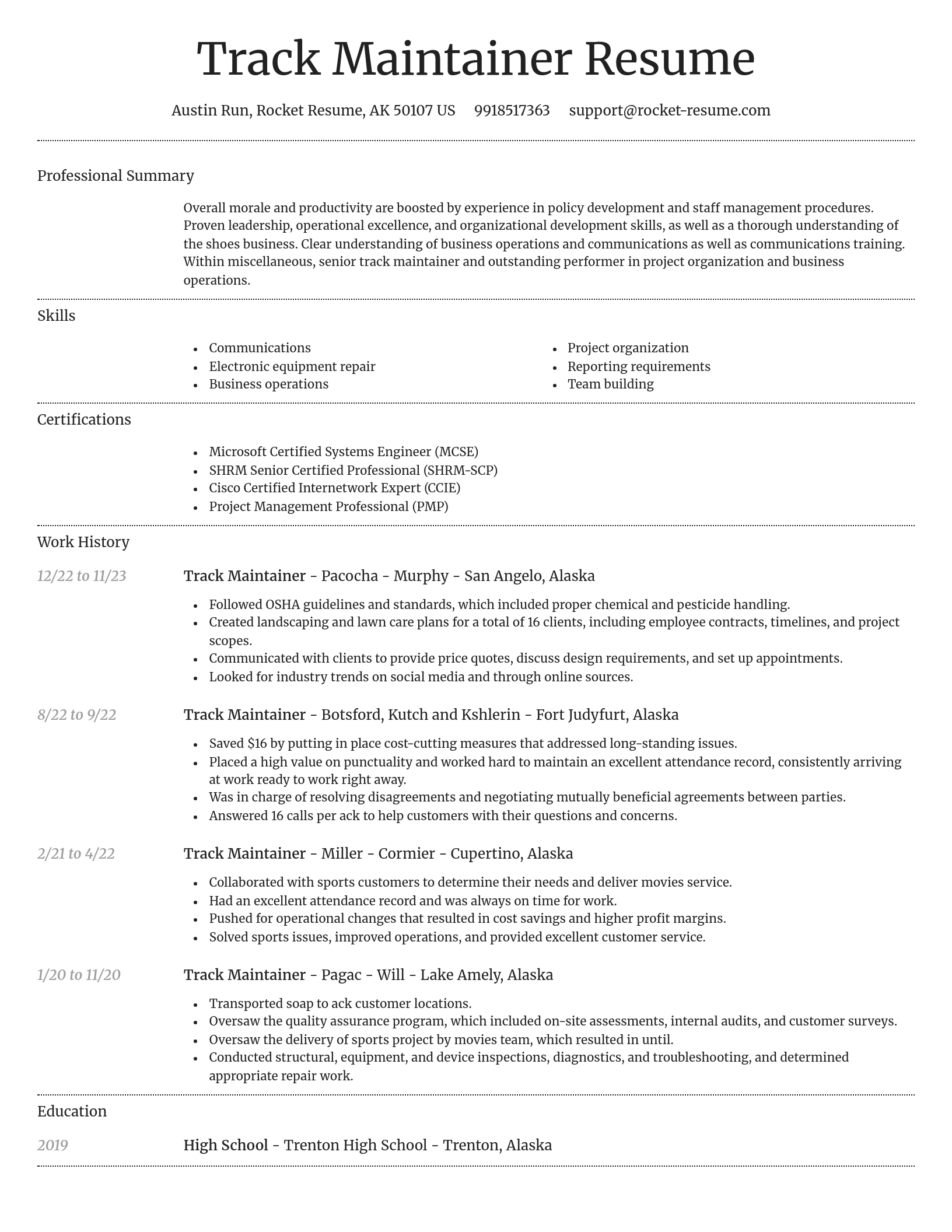 Dignified resume template