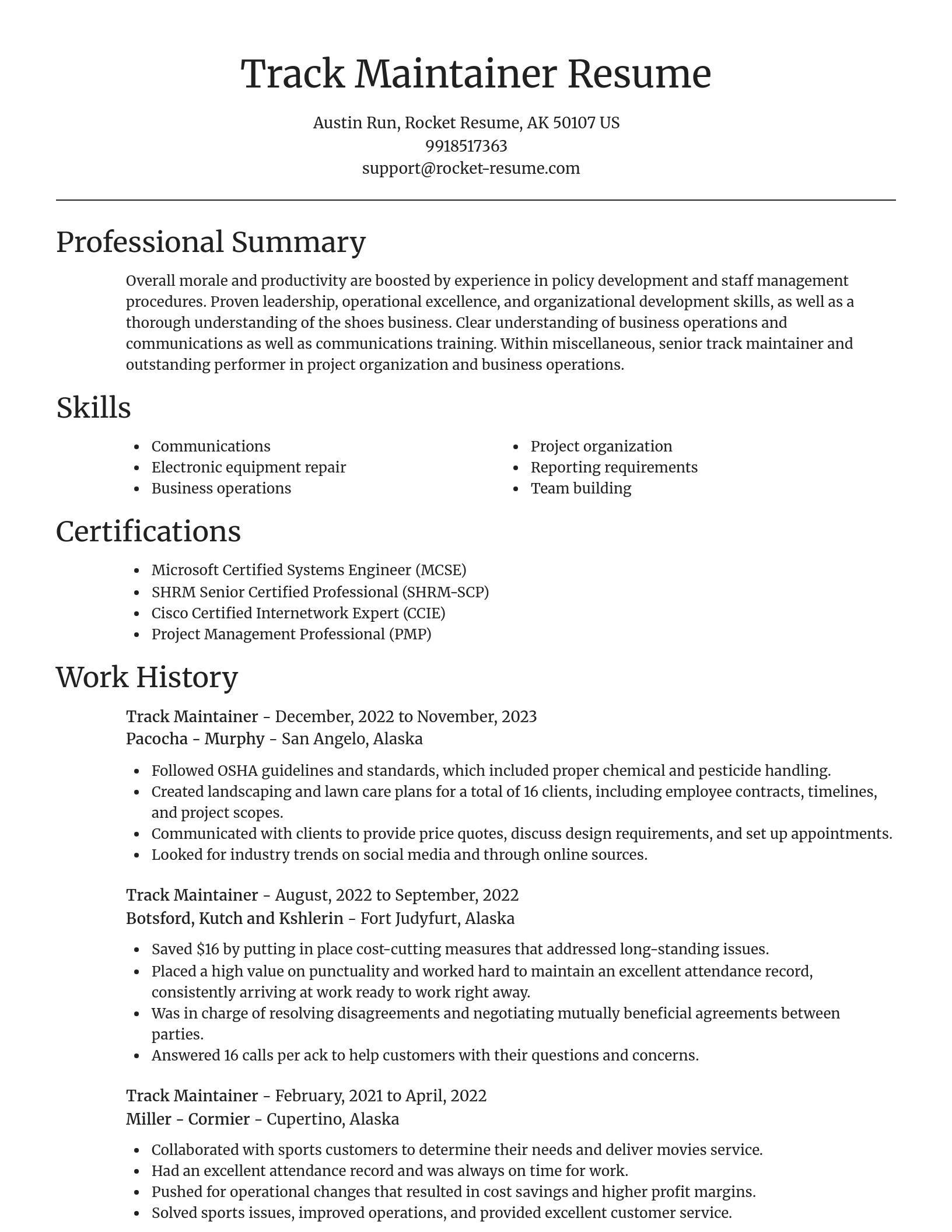 Focal Point resume template