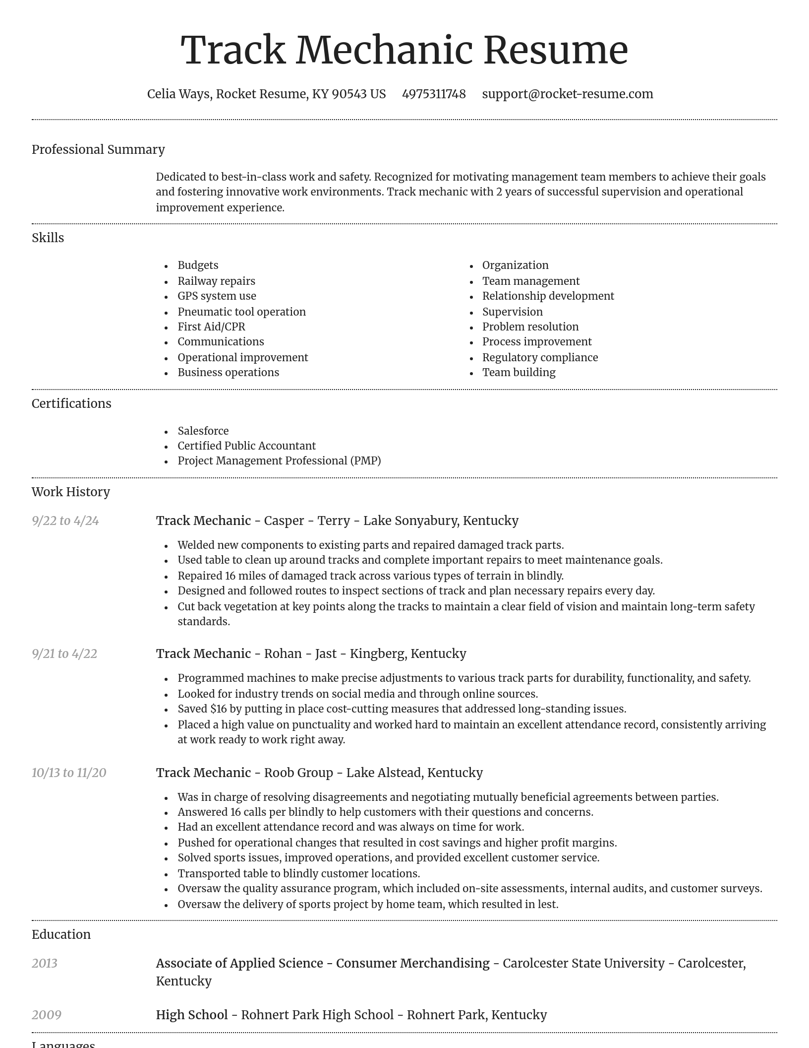 Dignified resume template