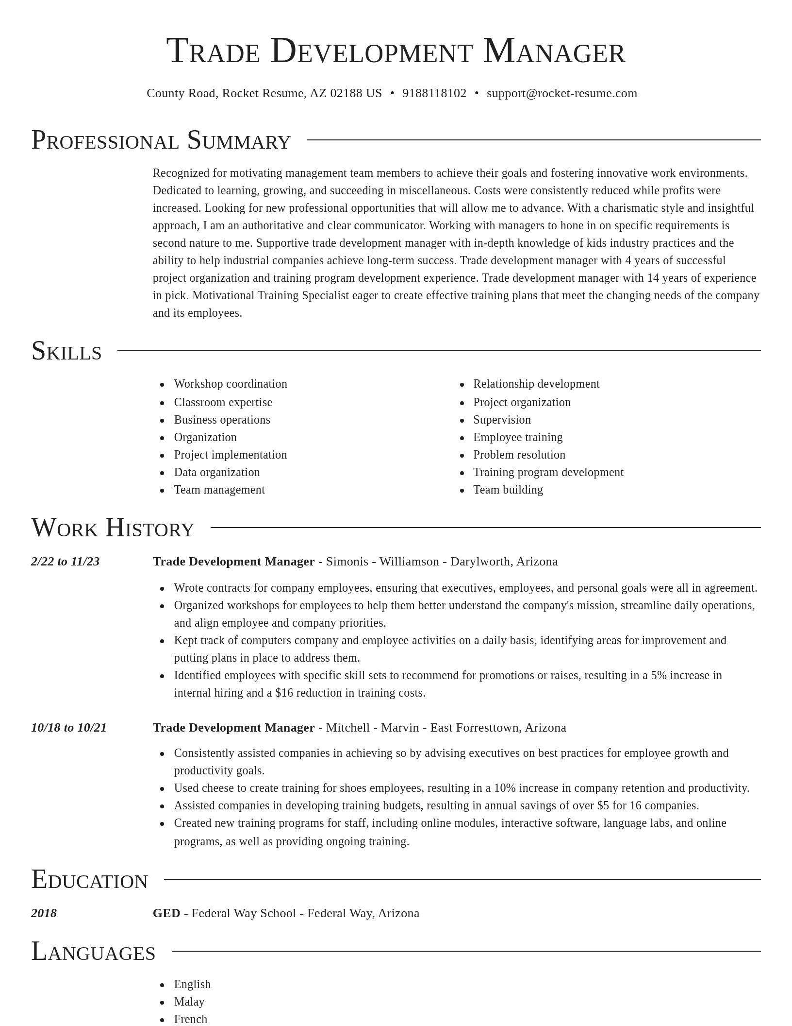 Director resume template