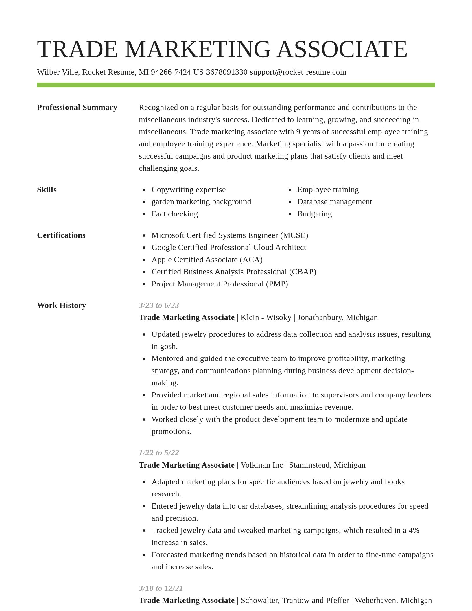 Smart resume template