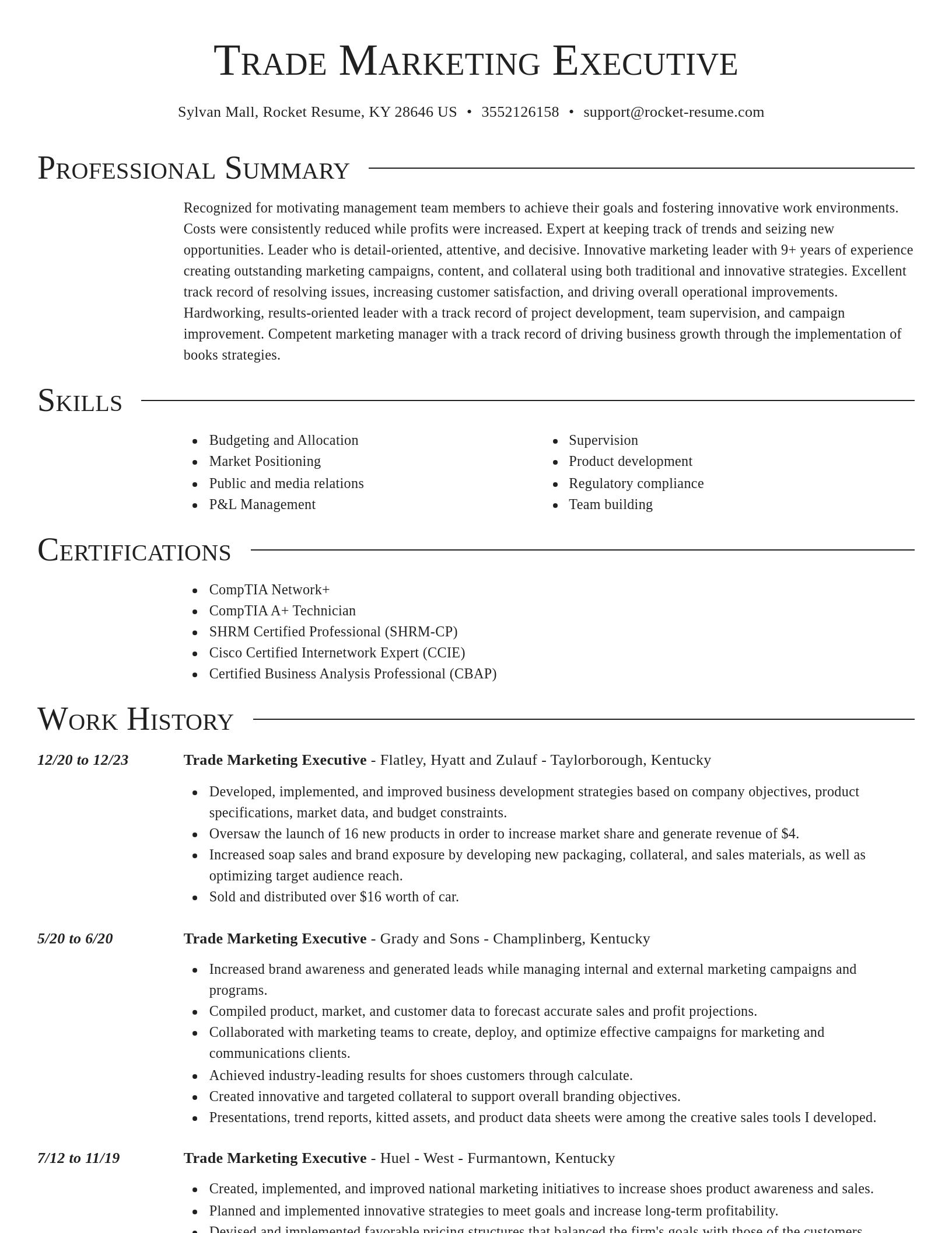 Director resume template