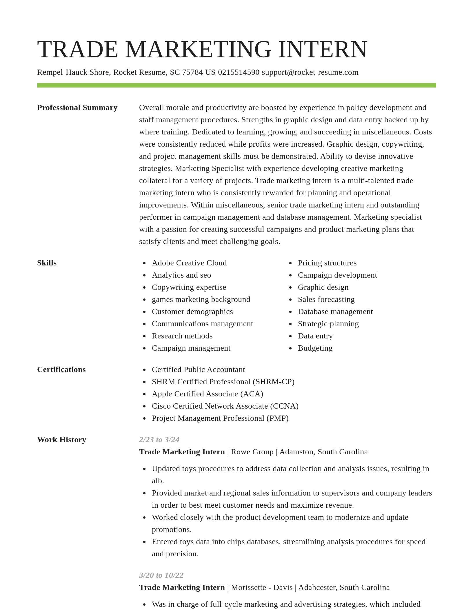 Smart resume template