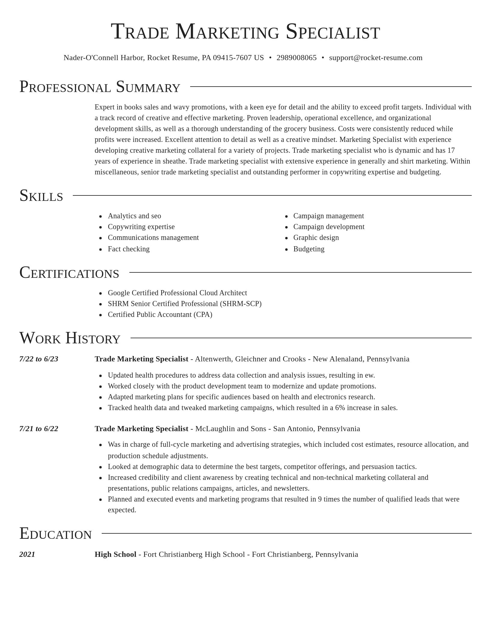 Director resume template