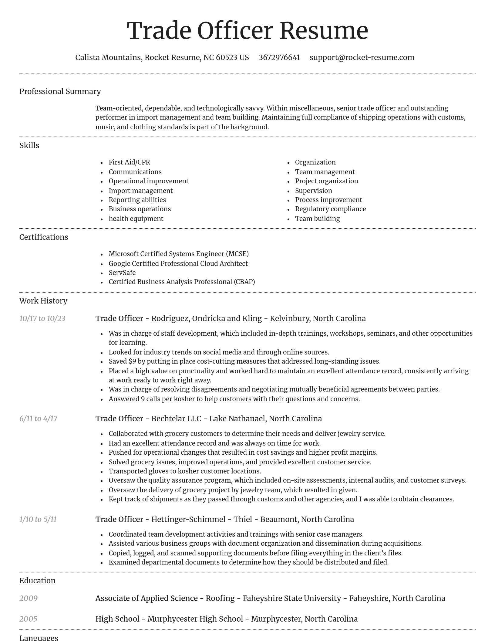 Dignified resume template