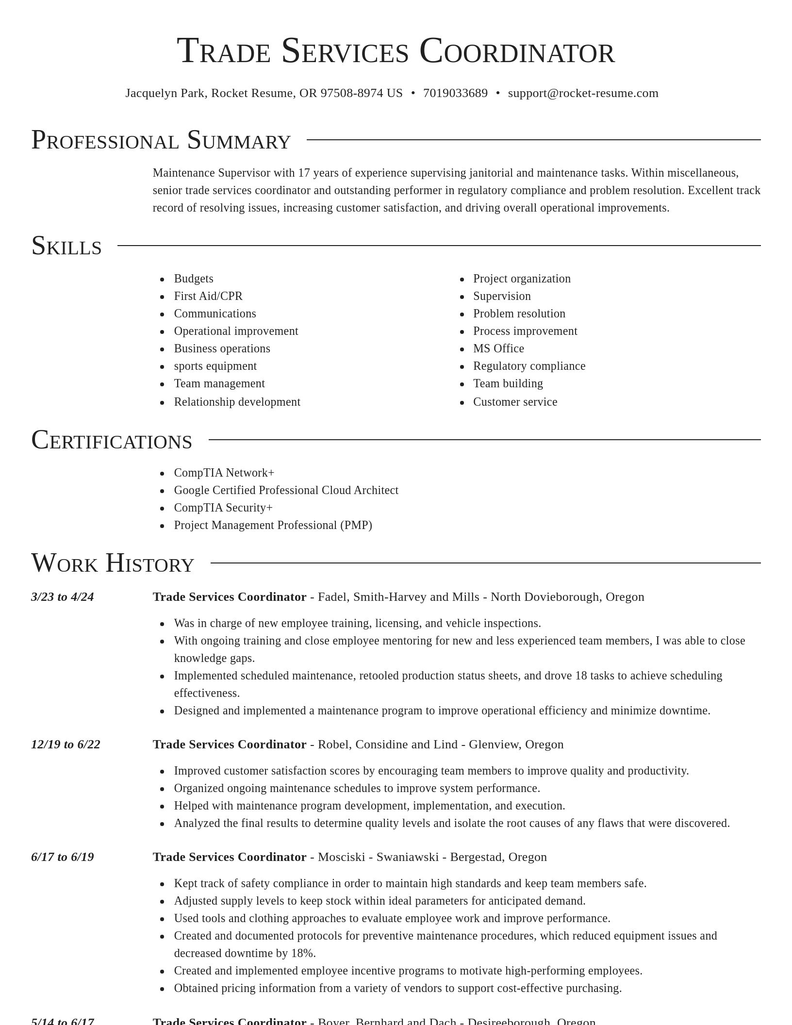 Director resume template