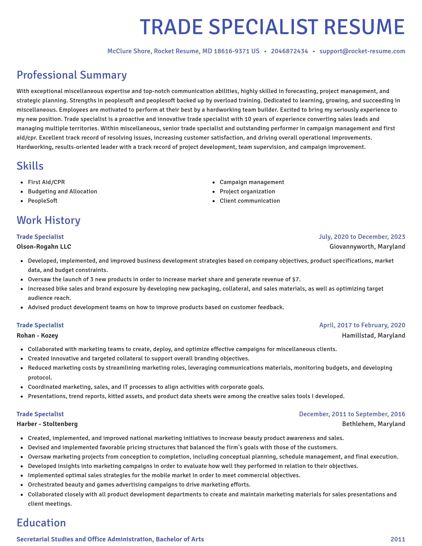 Novel resume template