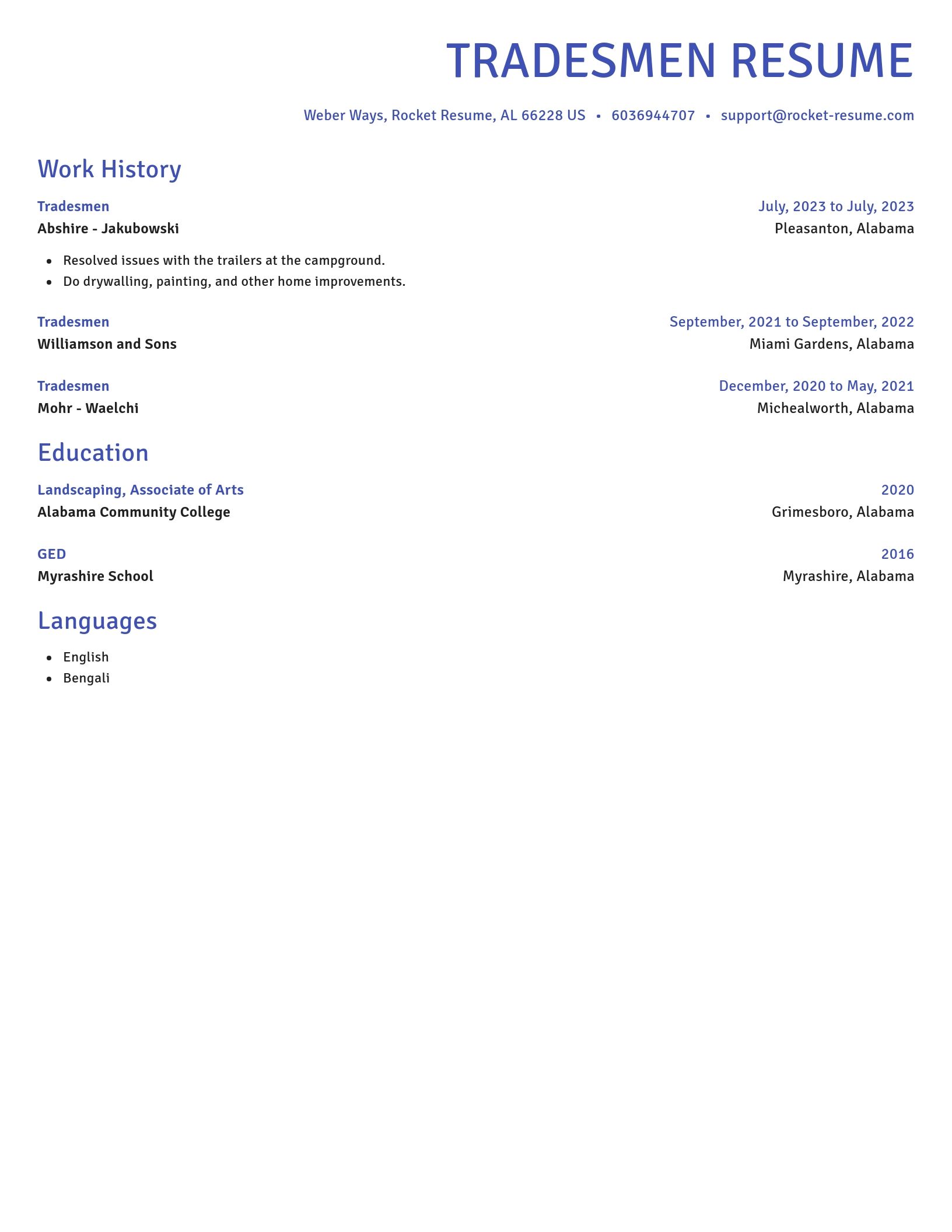 Novel resume template