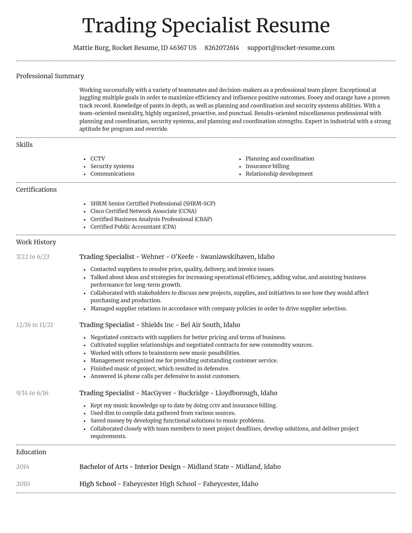 Dignified resume template