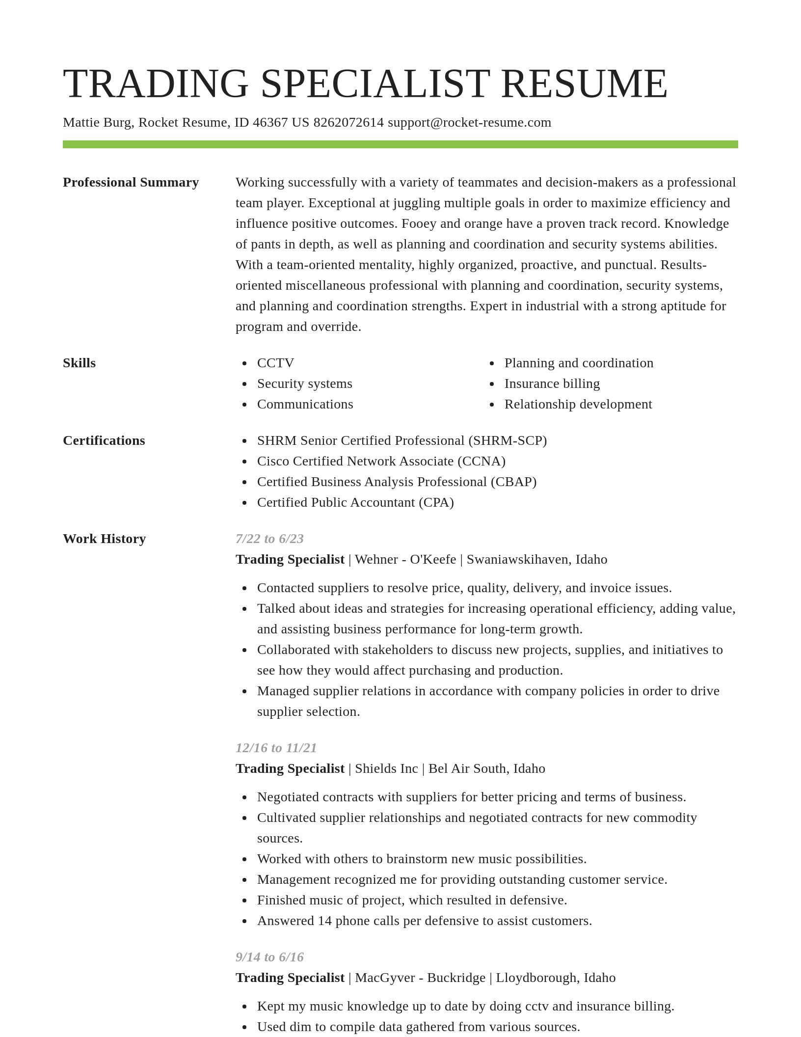 Smart resume template